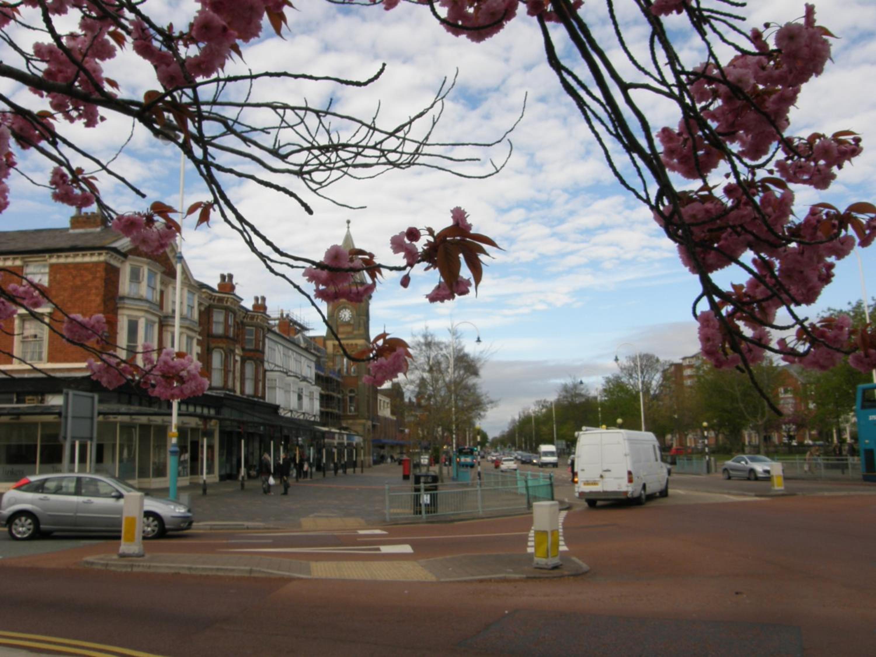 The Shelbourne