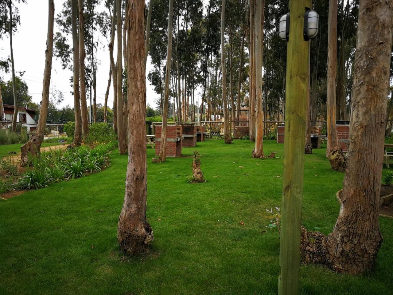 Espectacular Departamento Algarrobo Norte