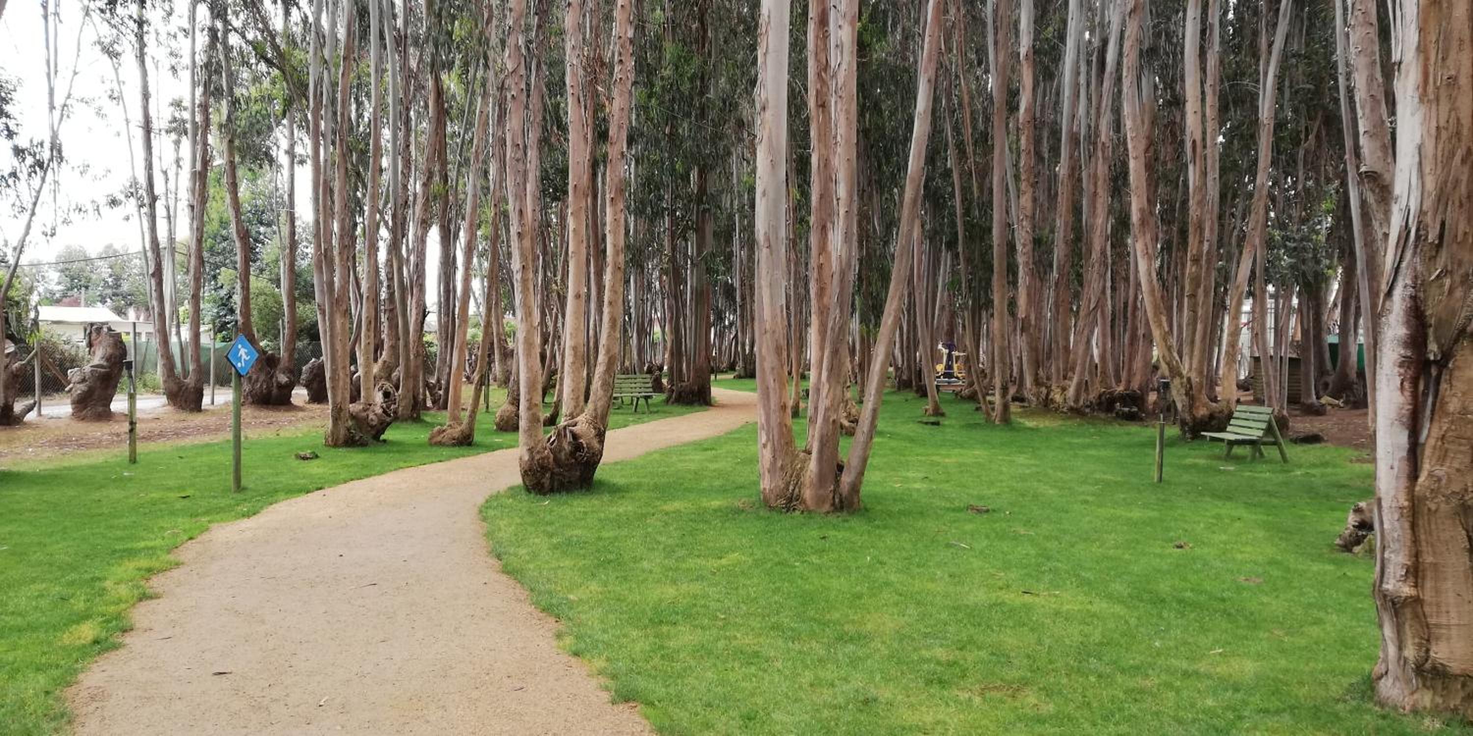 Espectacular Departamento Algarrobo Norte