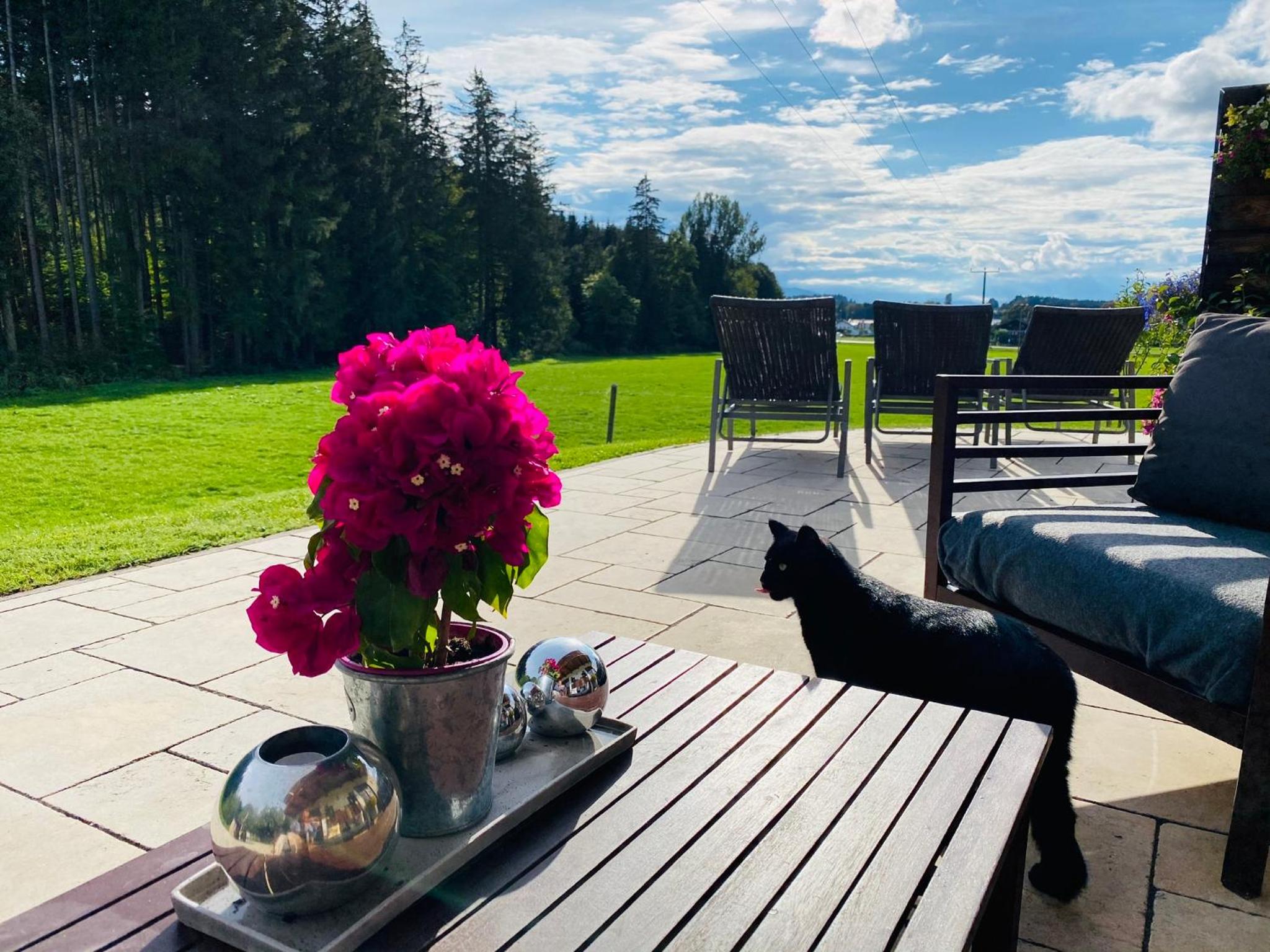 Hofwies-Exklusiv - Privates Luxus-Boutique Ferienhaus 8 Pax