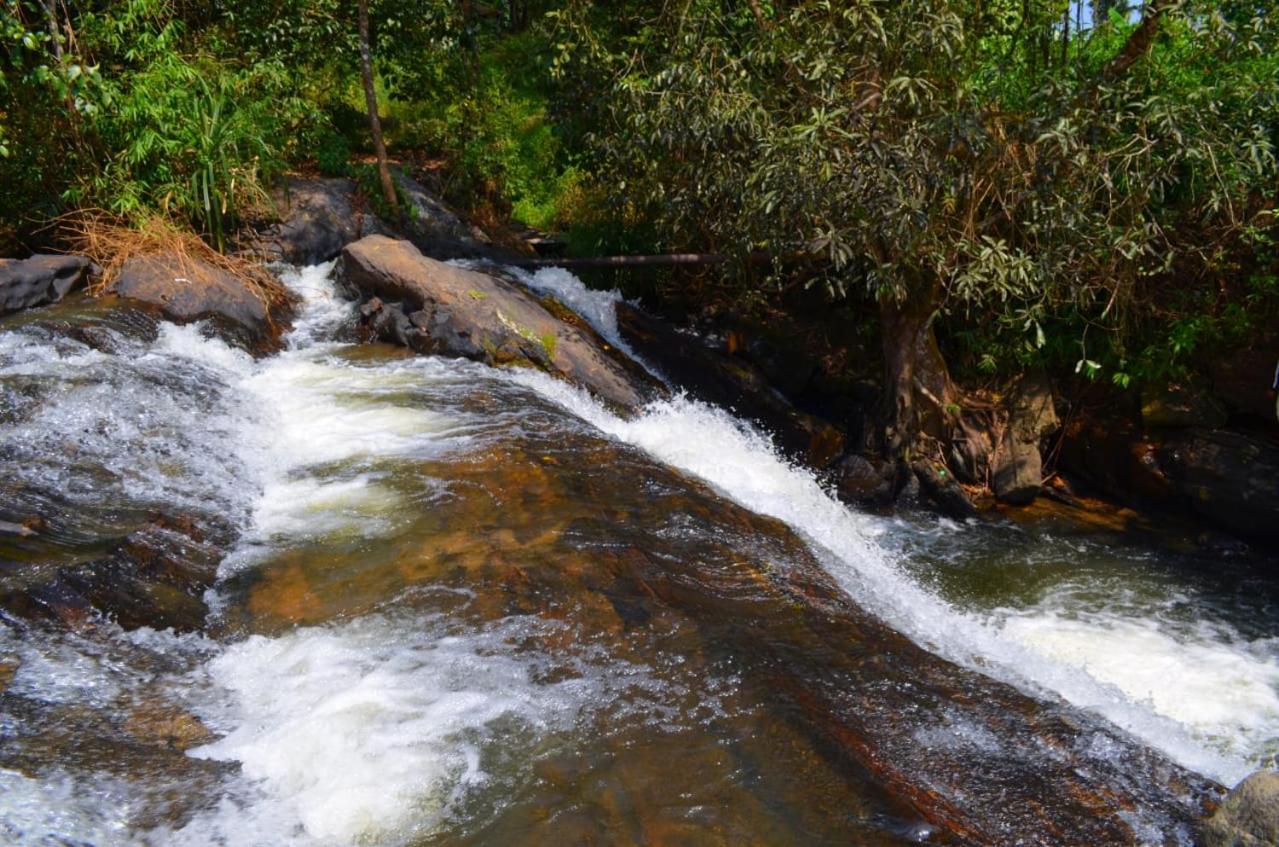 Agua