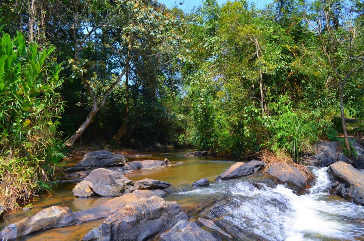 Agua