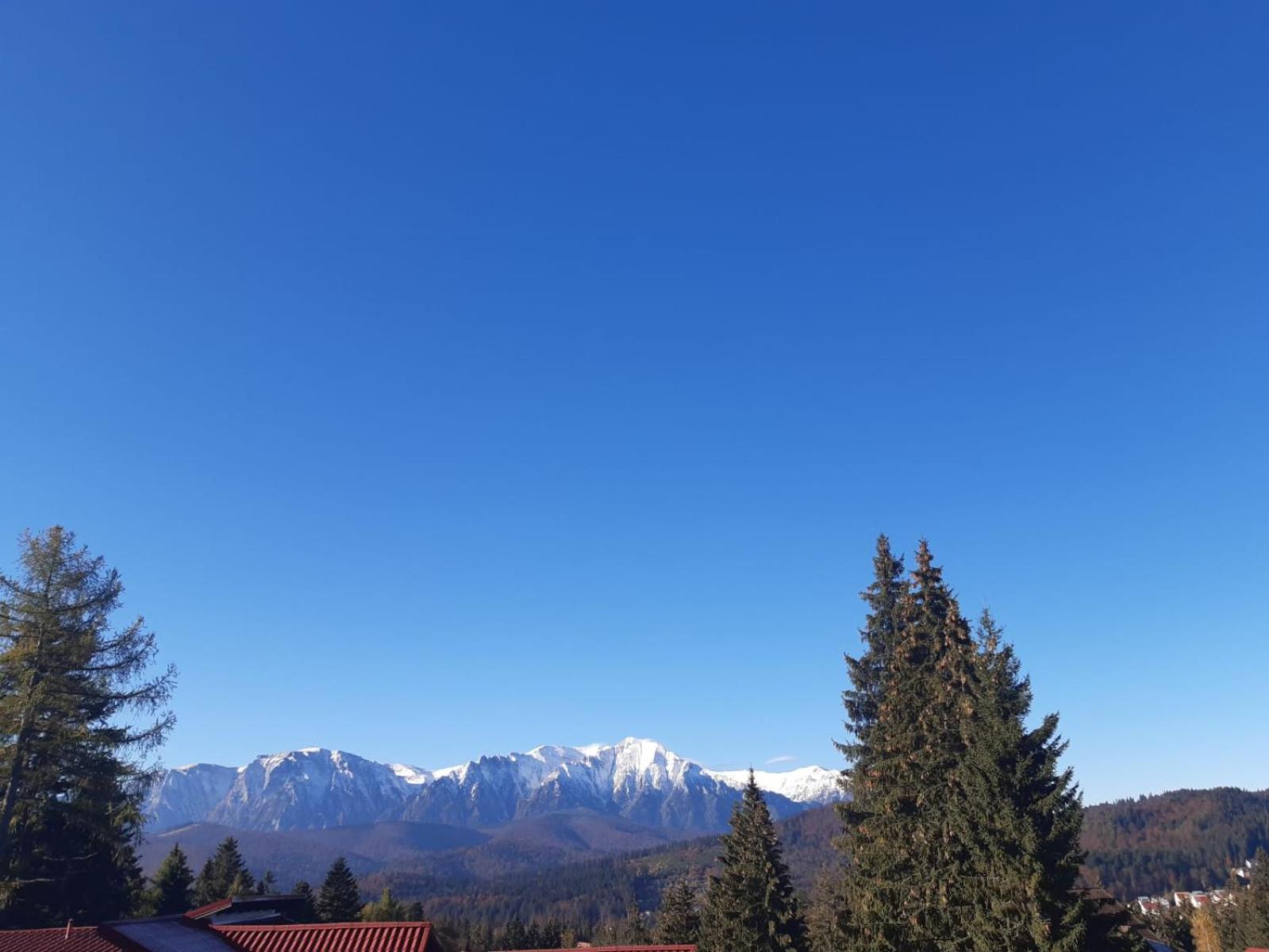 Pensiunea Margaritar view 4