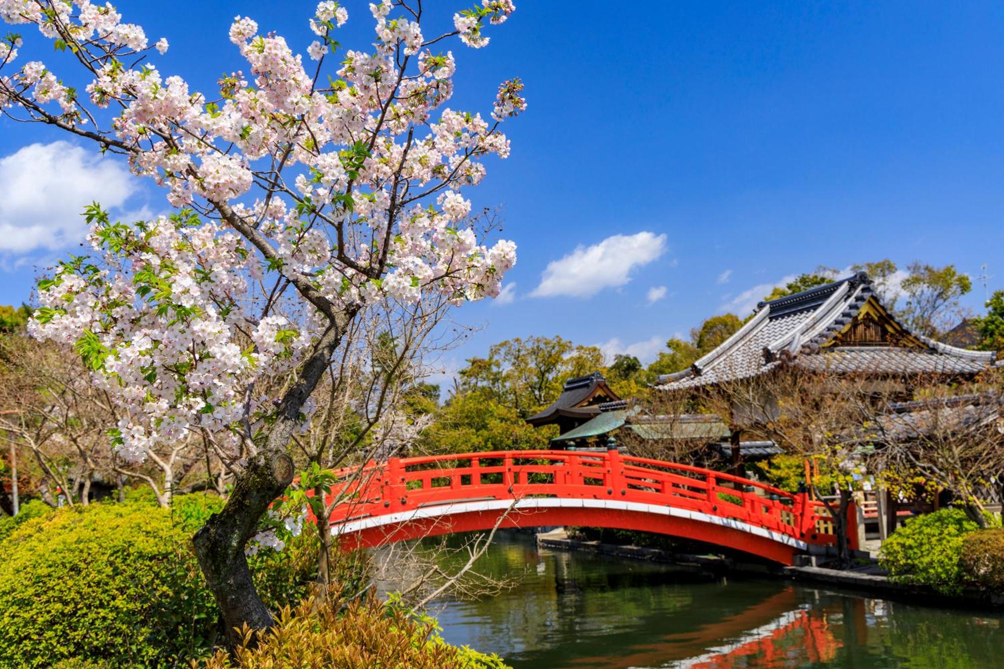 Tabist Kyogura Kyoto Nijo photo 3