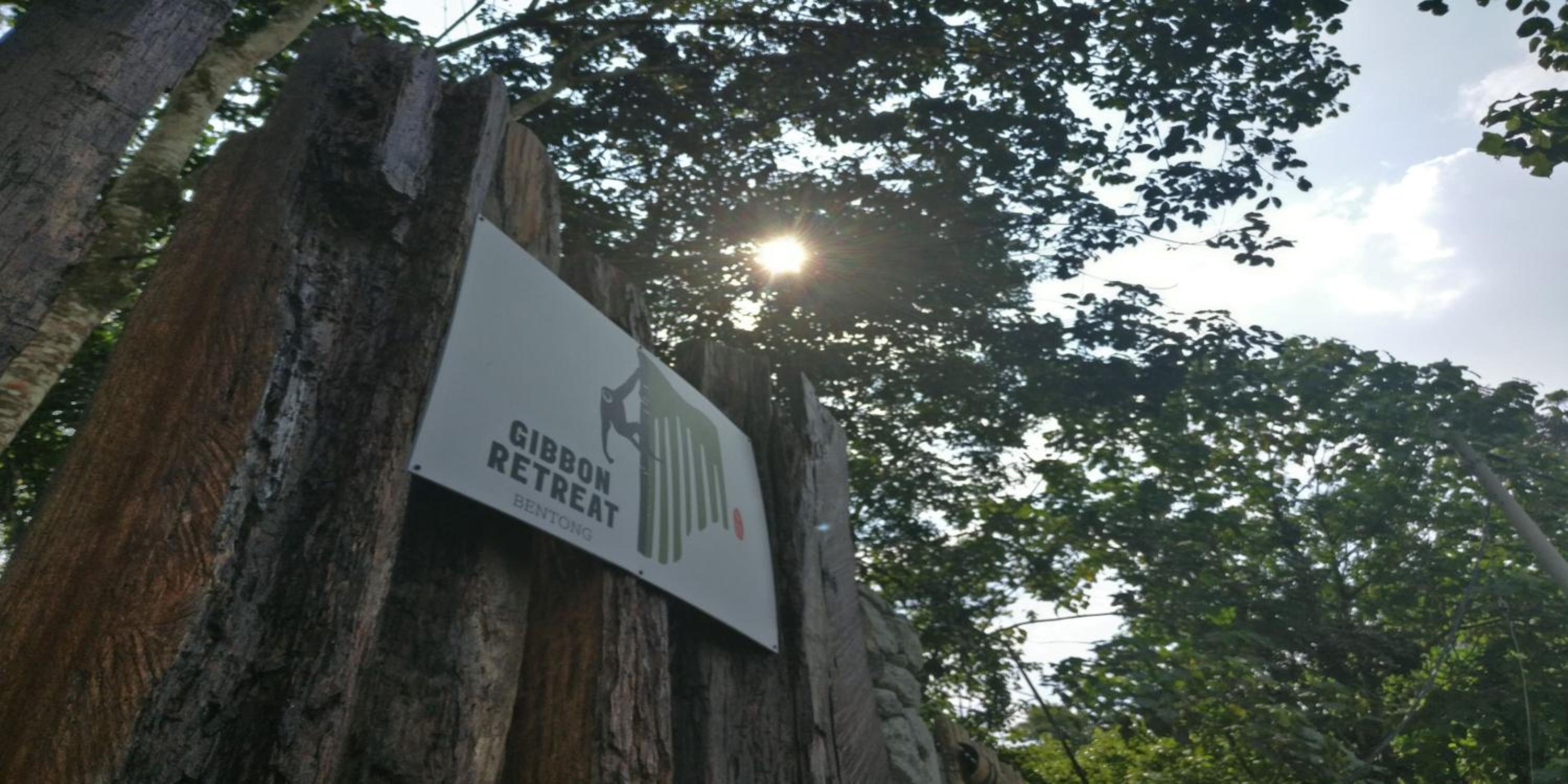 Gibbon Retreat Bentong photo 1