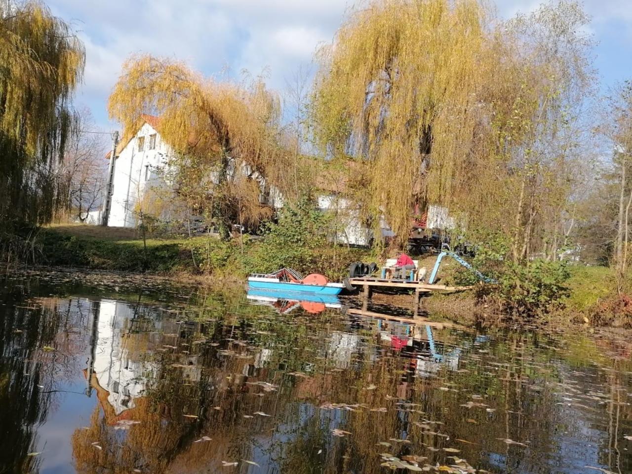 Photo 22