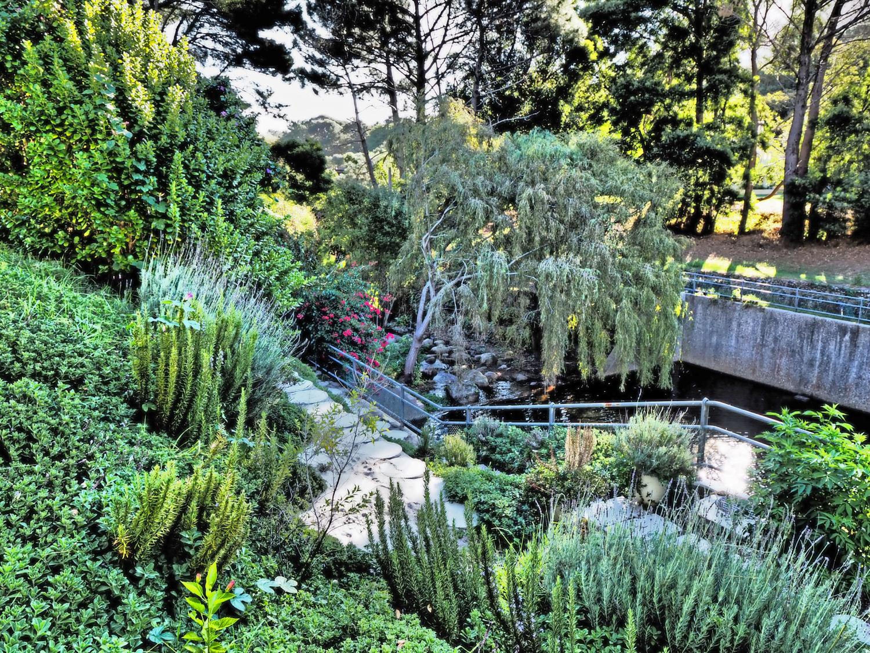 Waterland Lodge view 5