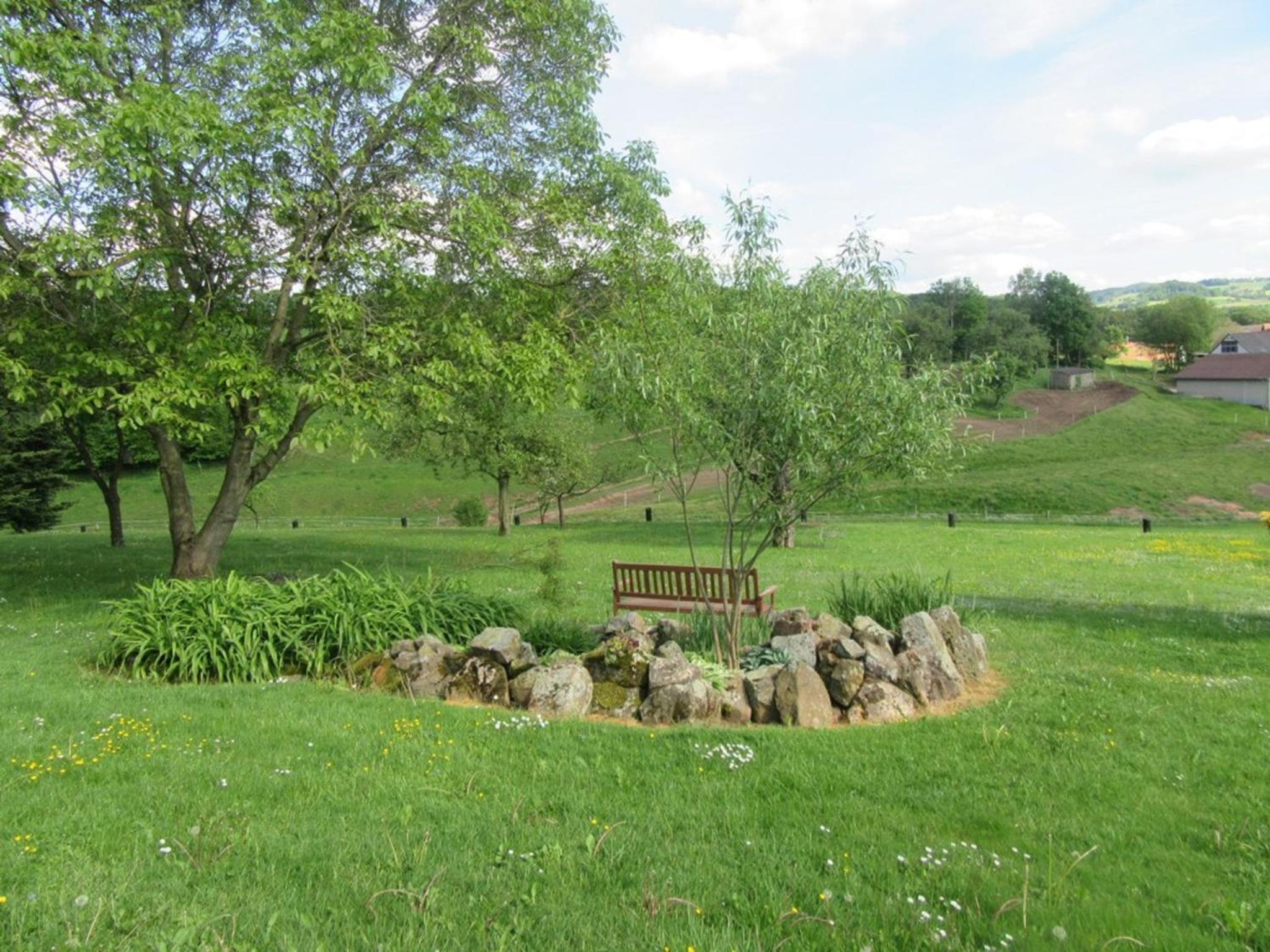 Photo 22