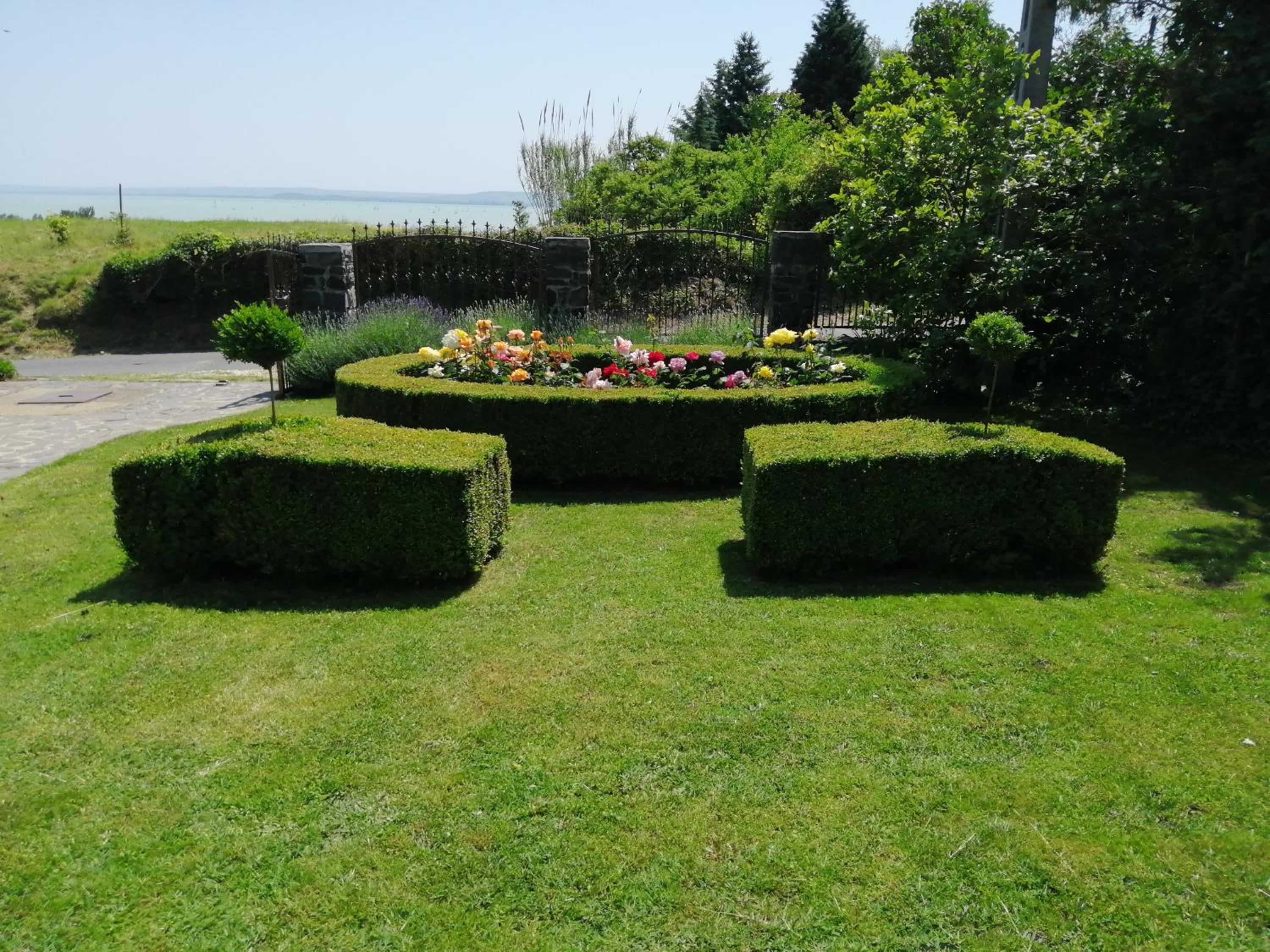 Photo 12