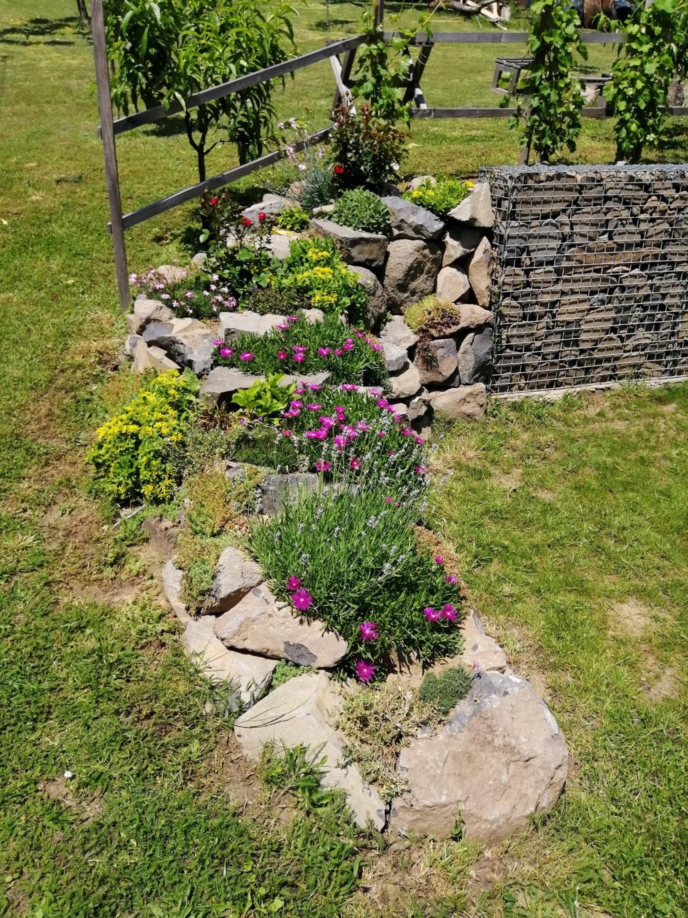 Photo 29