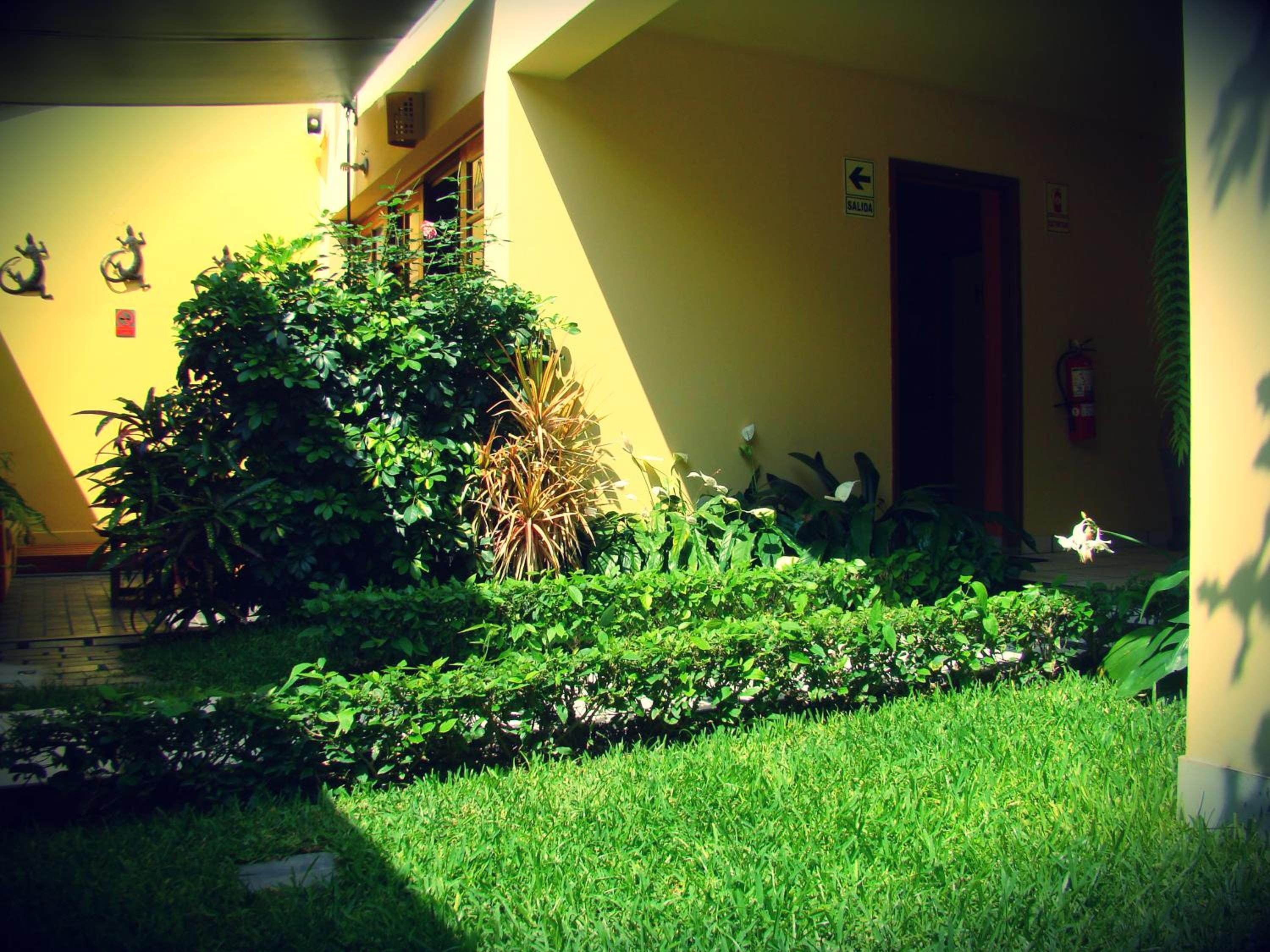 Photo 41