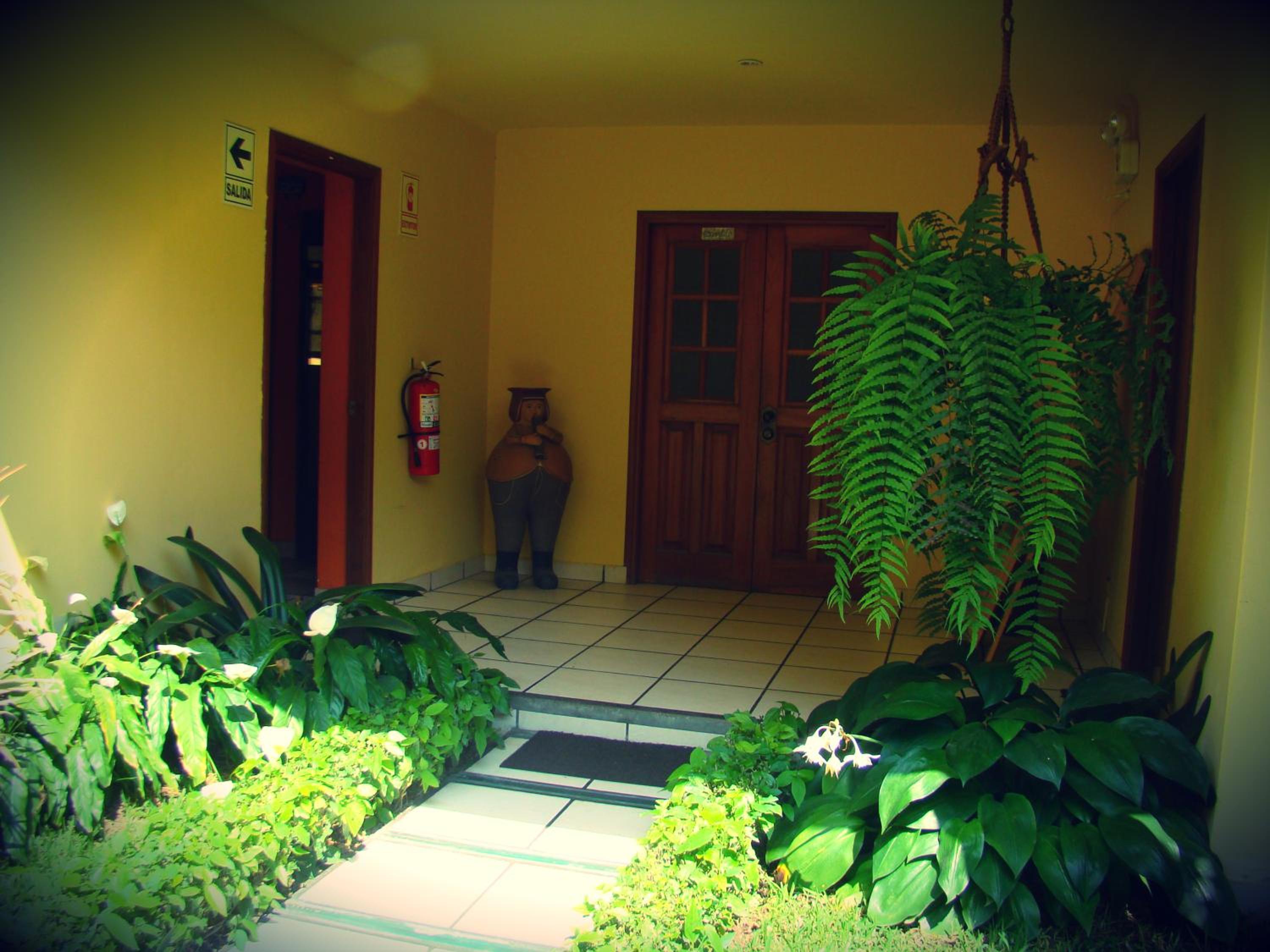 Photo 42