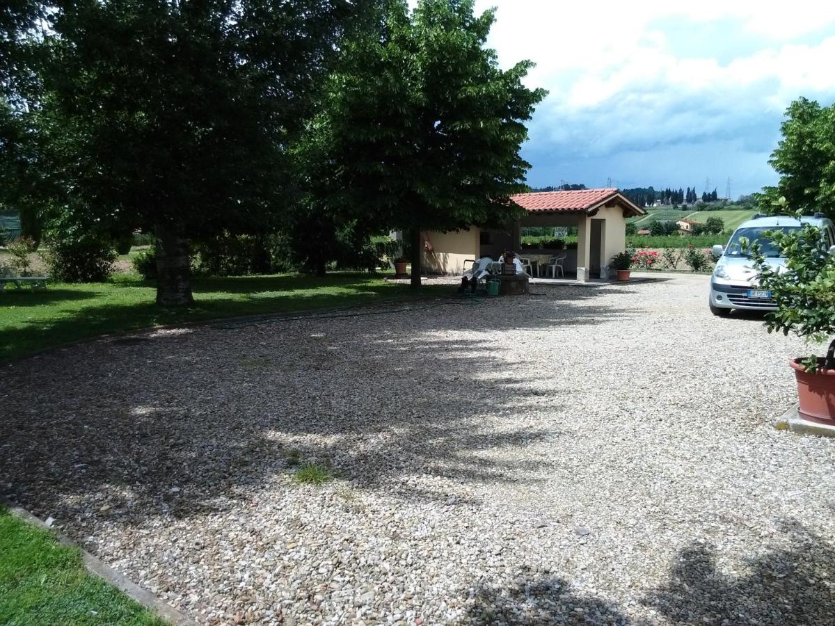 Photo 19