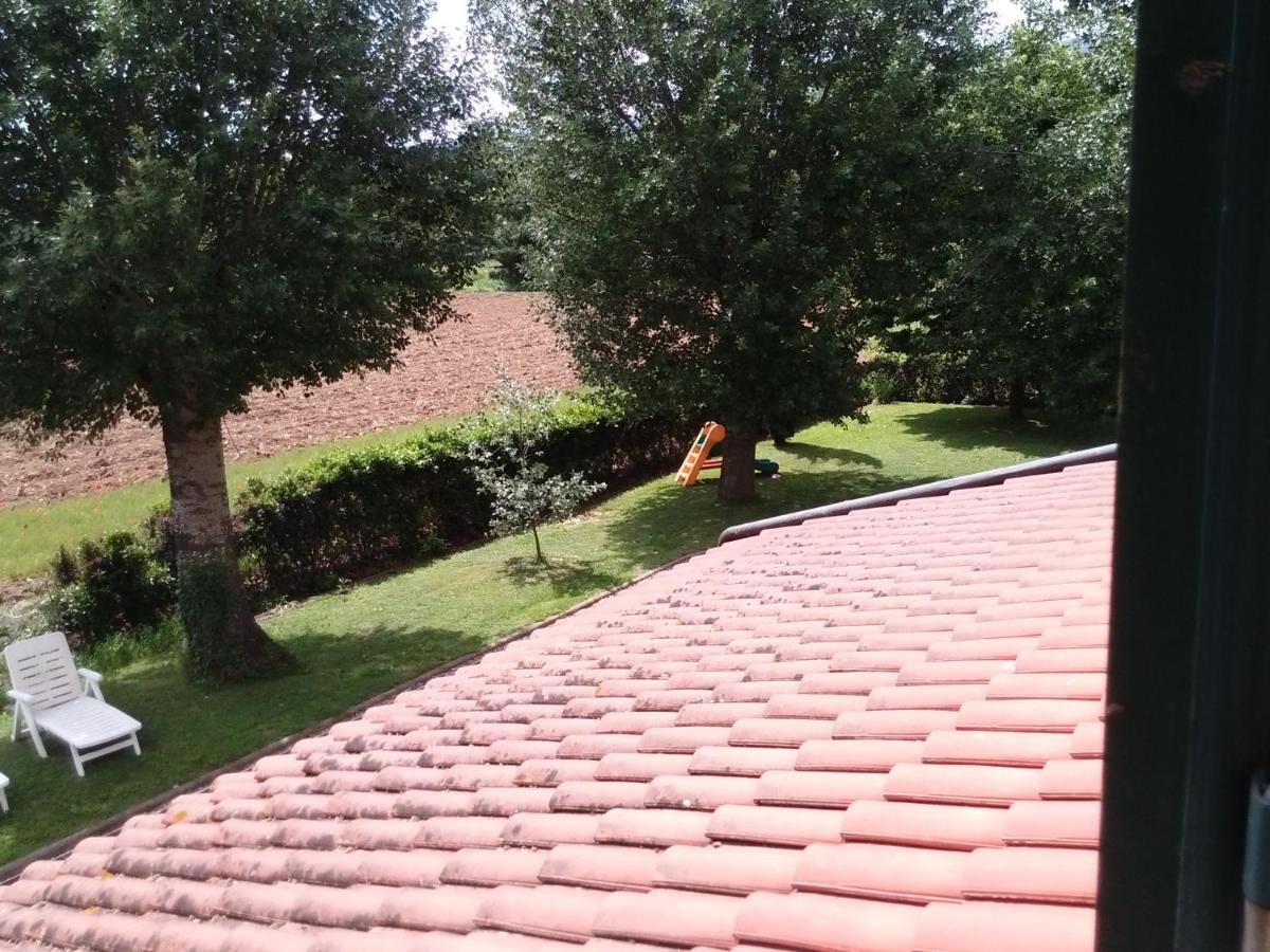 Photo 41