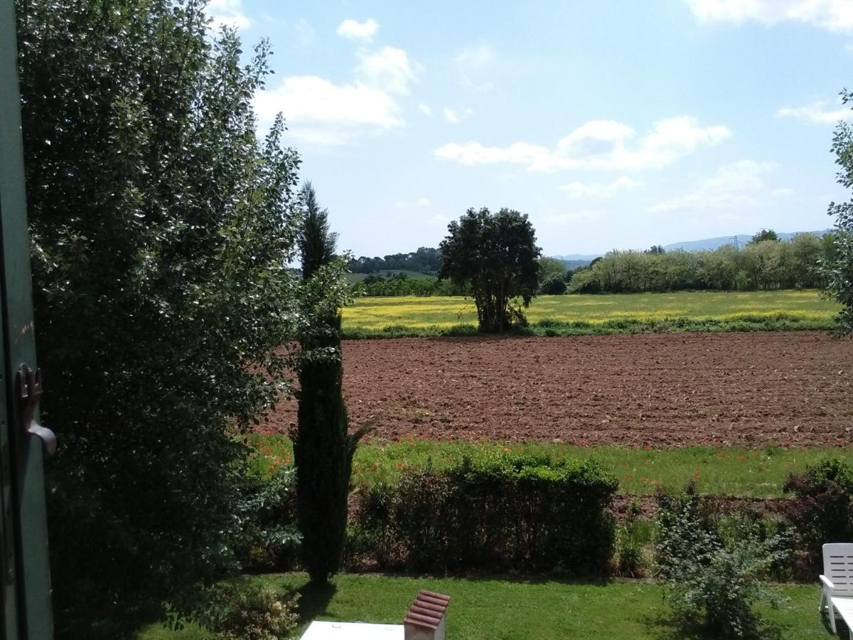 Photo 43