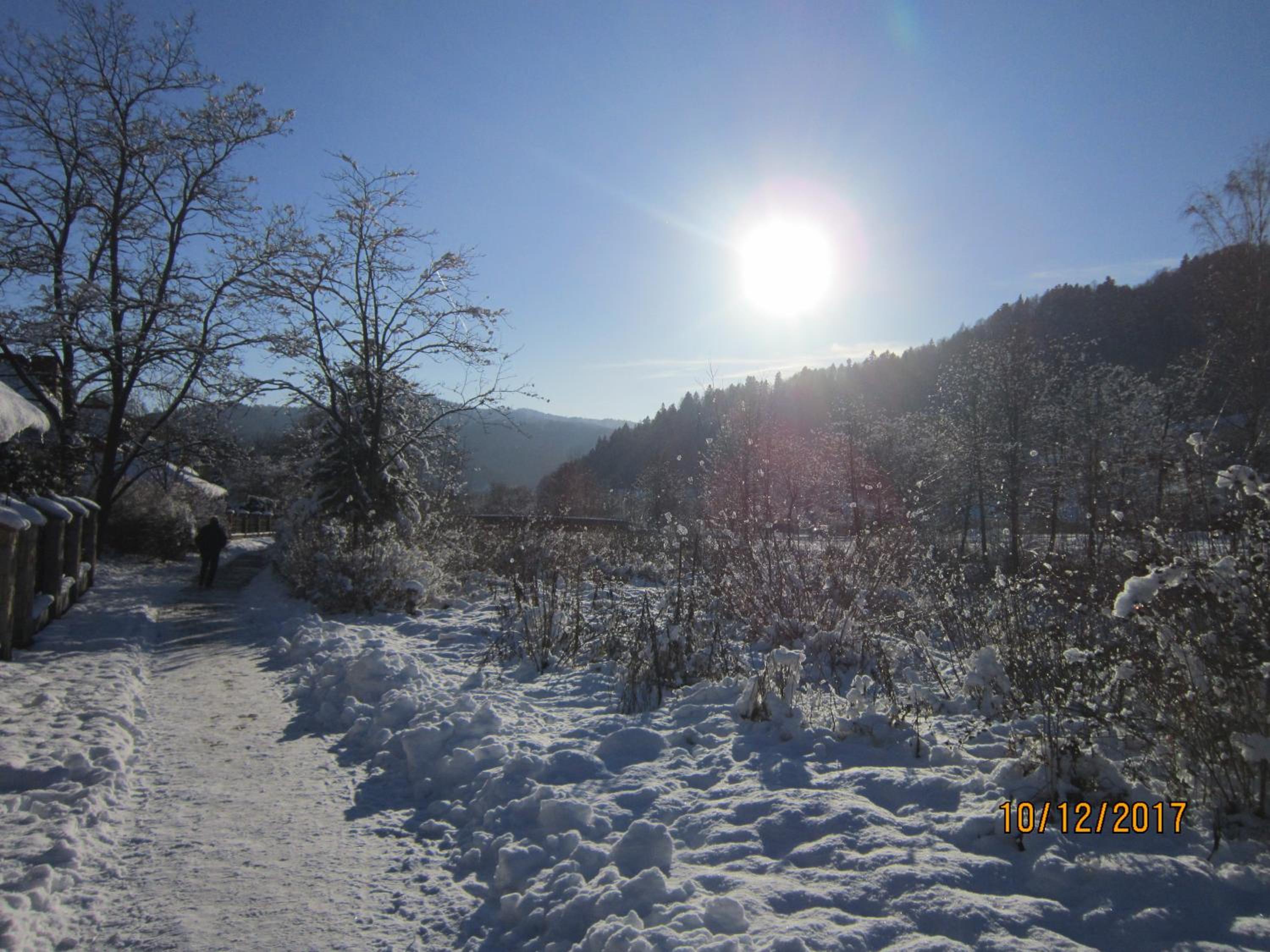 Photo 10