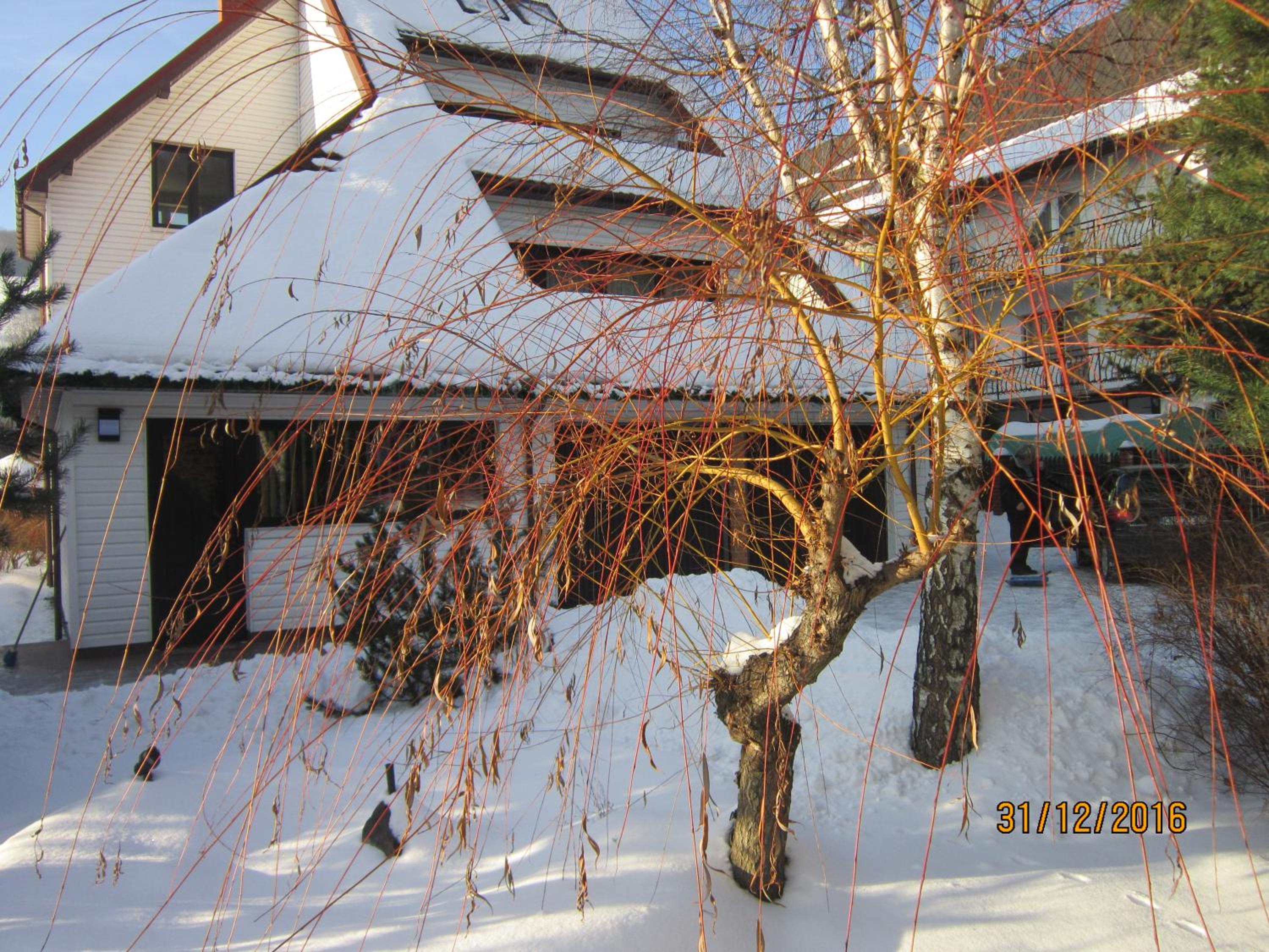 Villa Vitalis view 2