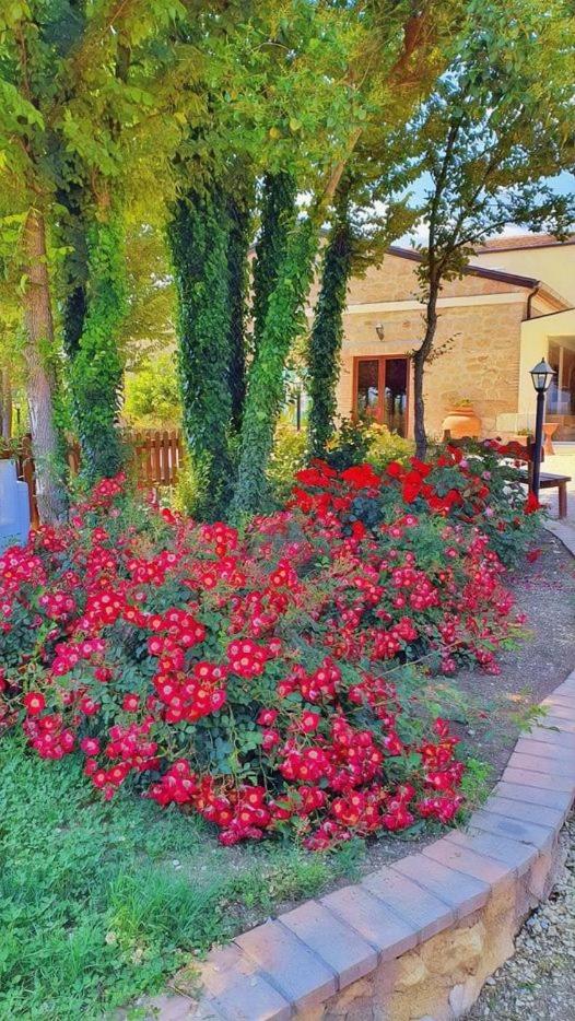 AGRITURISMO iL PIOPPETO