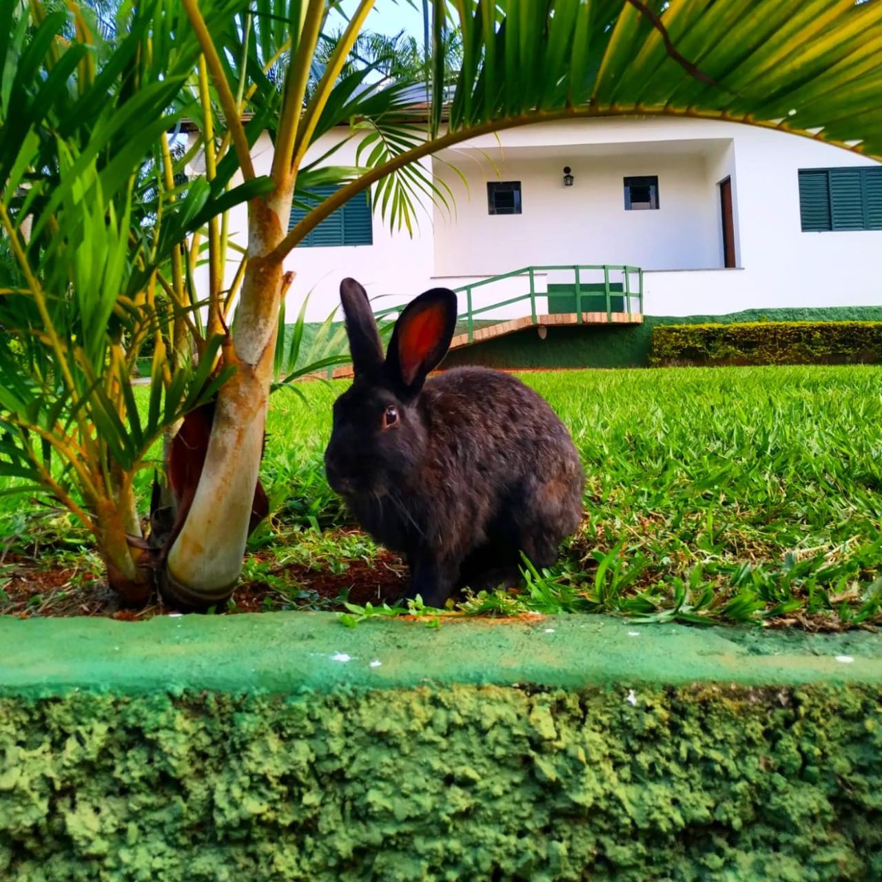 Hotel Fazenda Vale Amanhecer