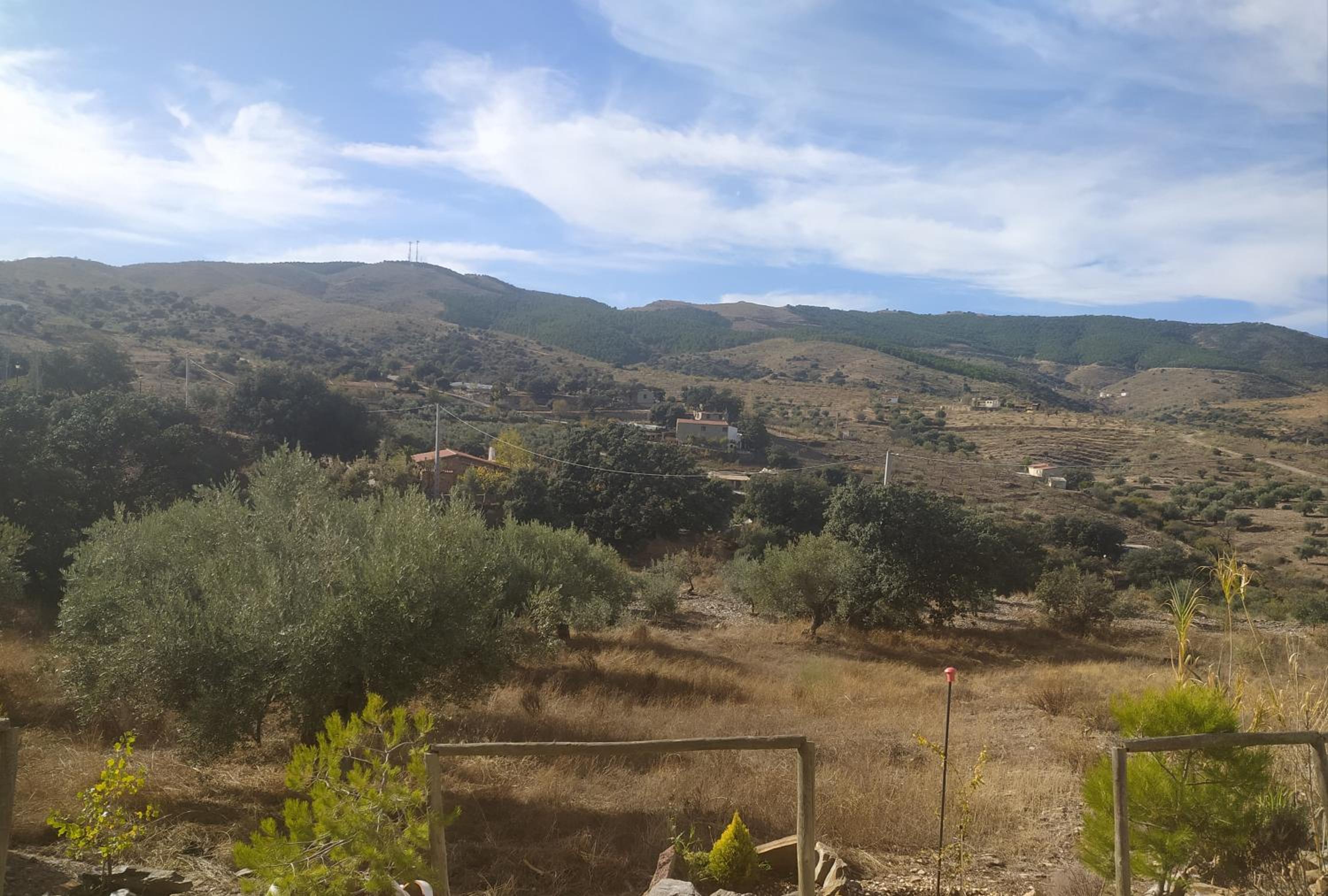 Photo 54