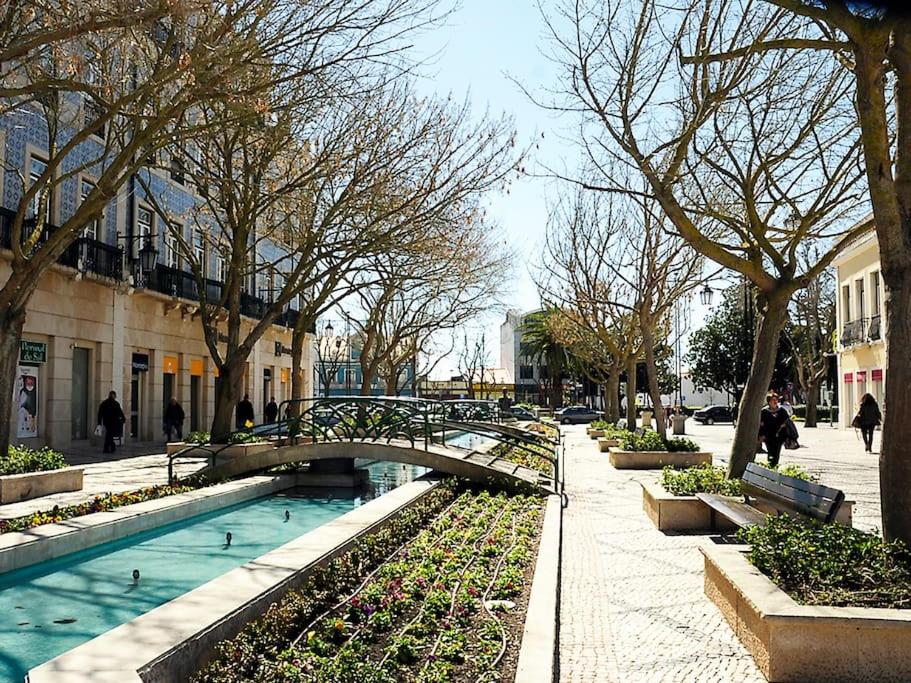 Setúbal Dreams