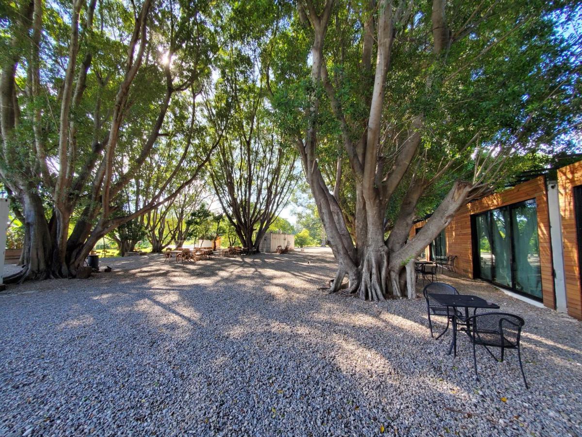 outdoor BBQ area