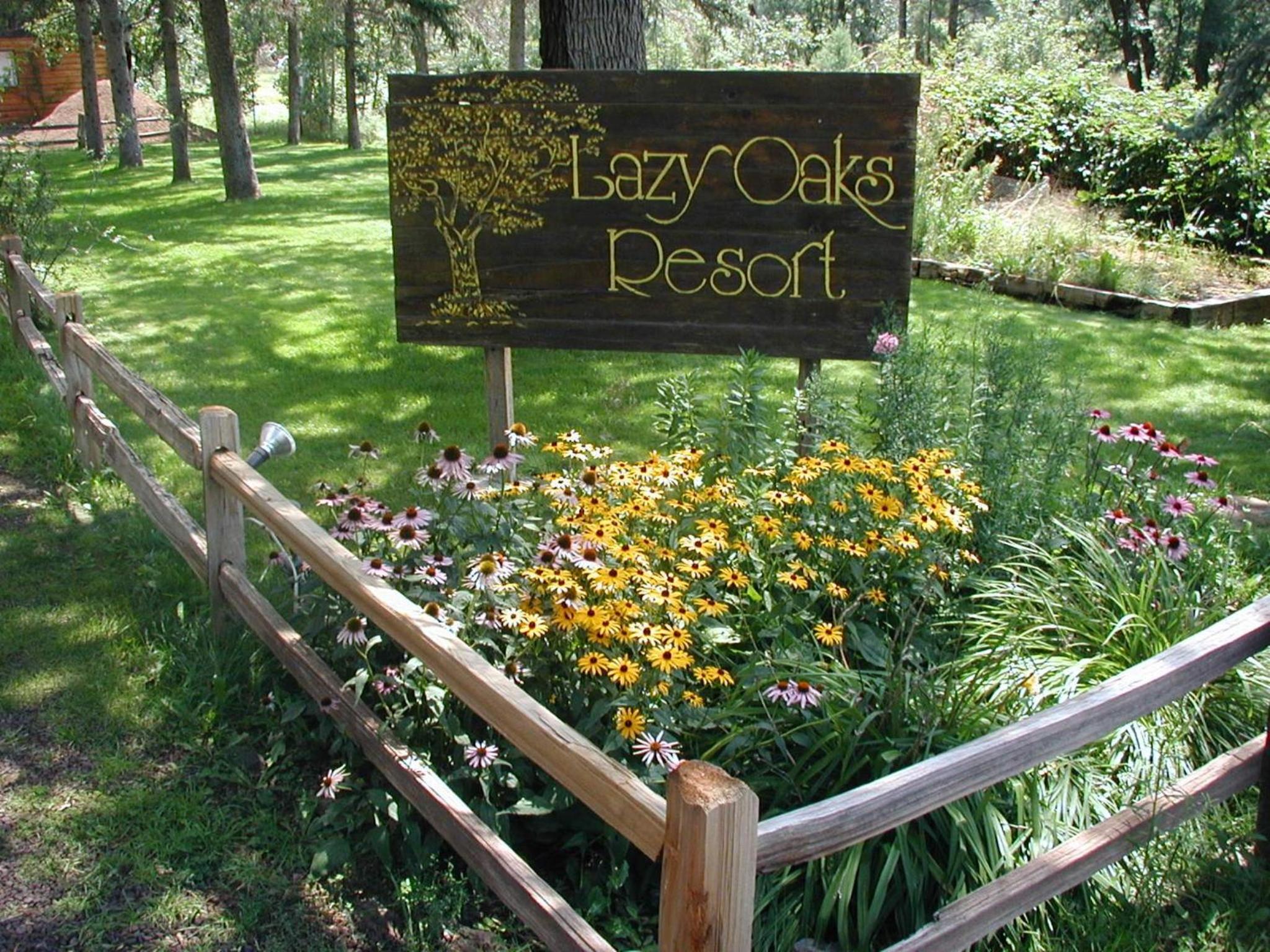 Lazy Oaks Resort - Property Image 23