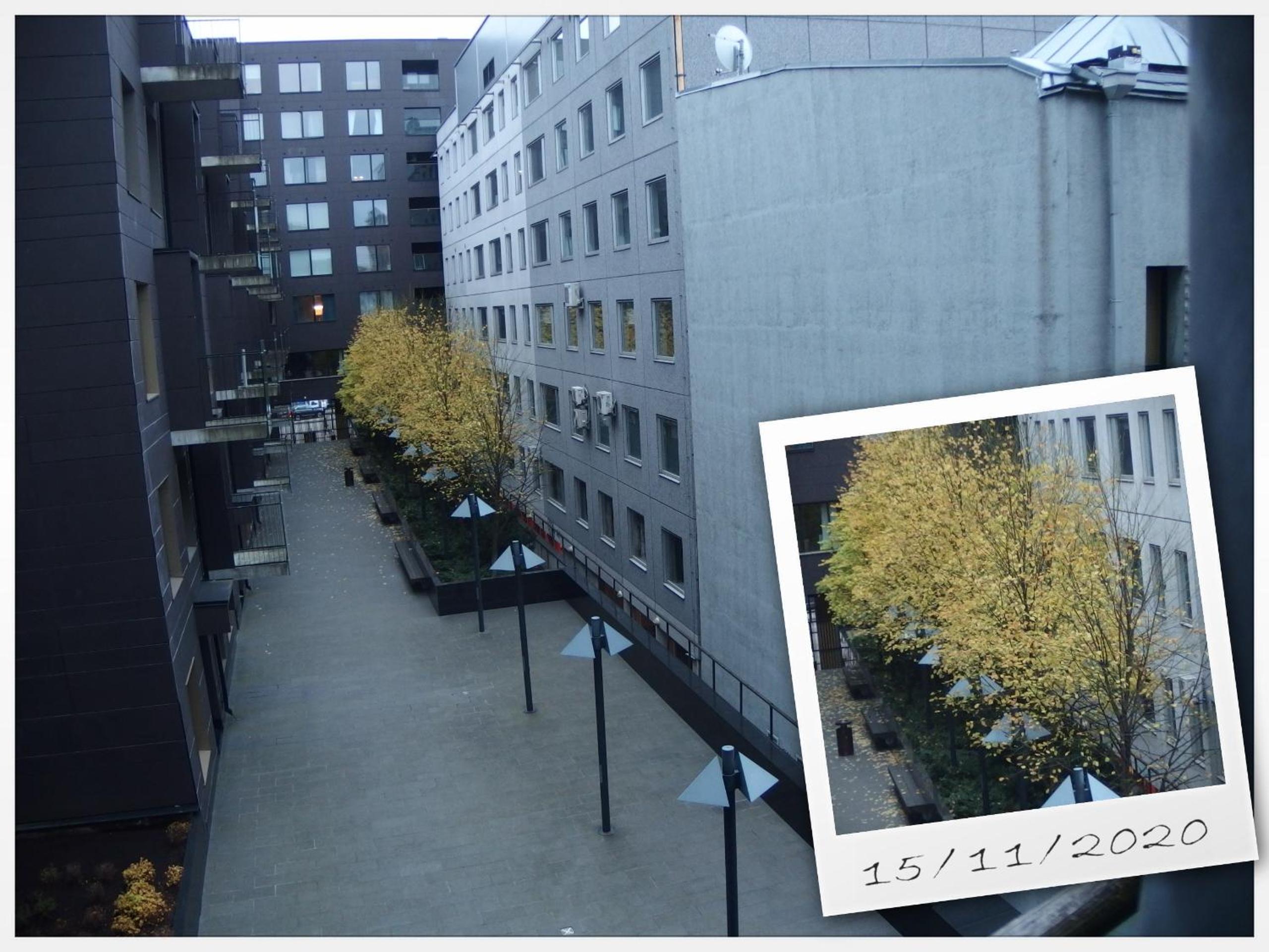 Photo 26