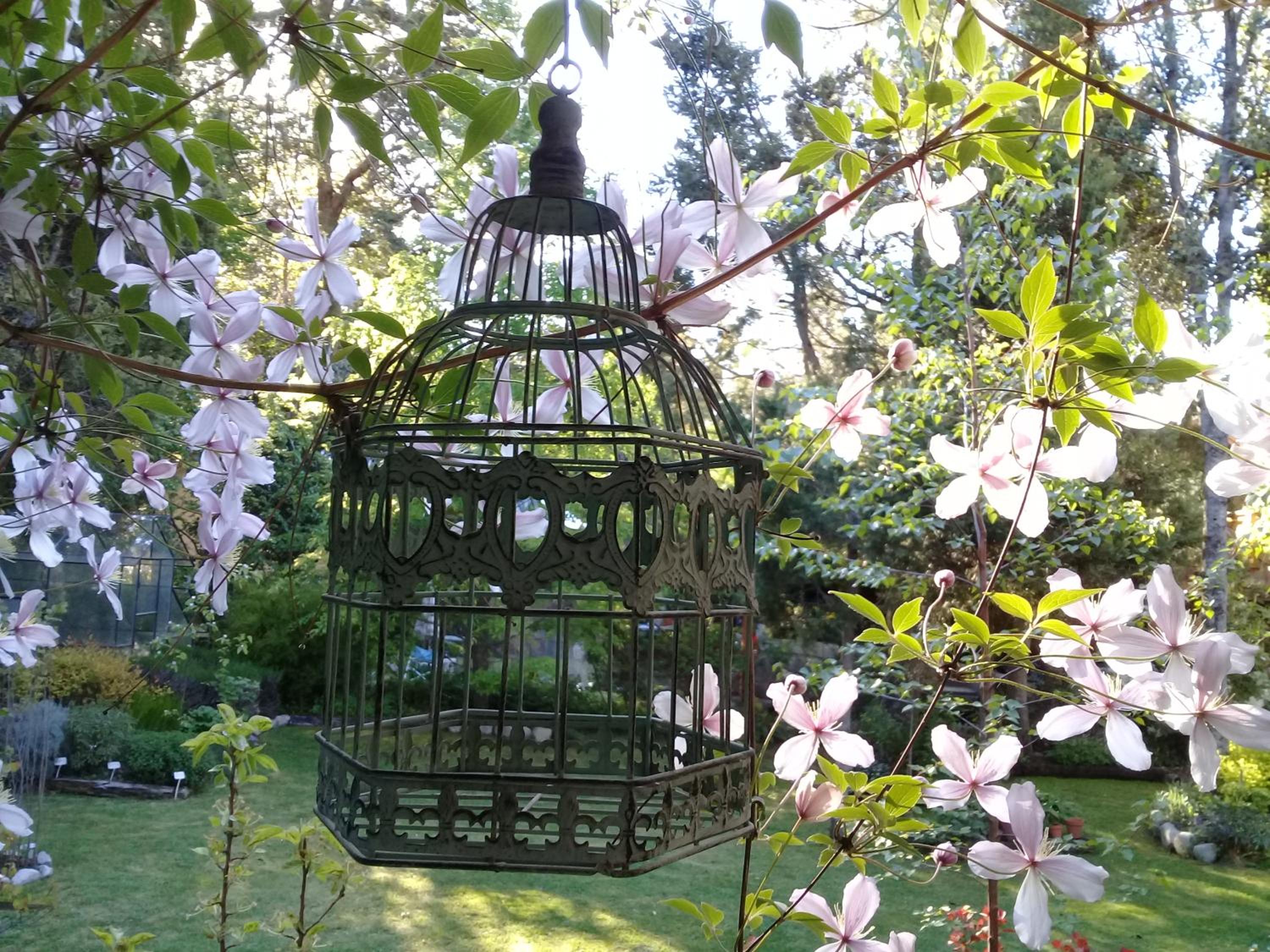 Dodo House Bed & Breakfast