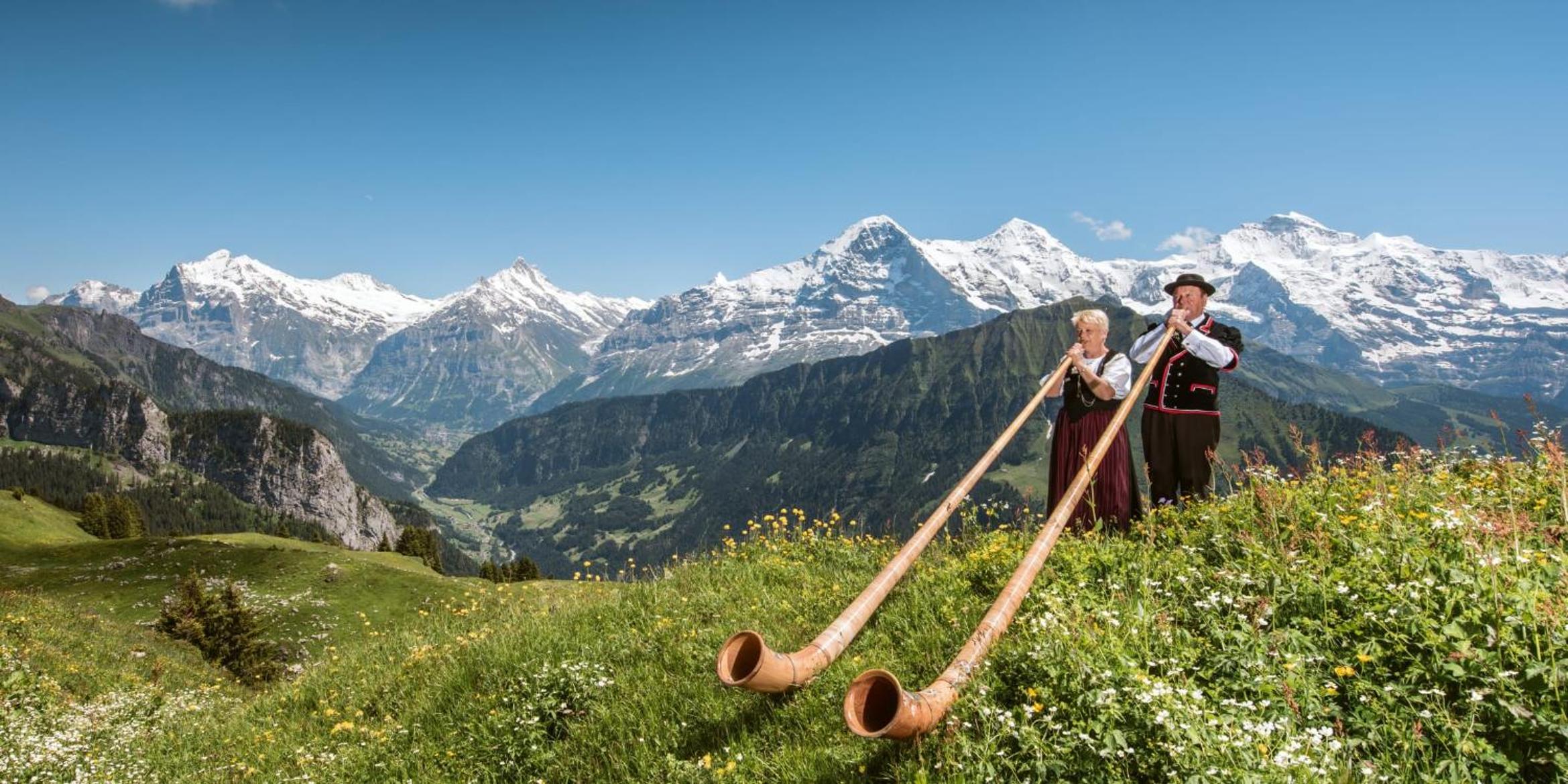 Ski in Ski out LUXURY & MOUNTAIN apartments by Alpvision Résidences