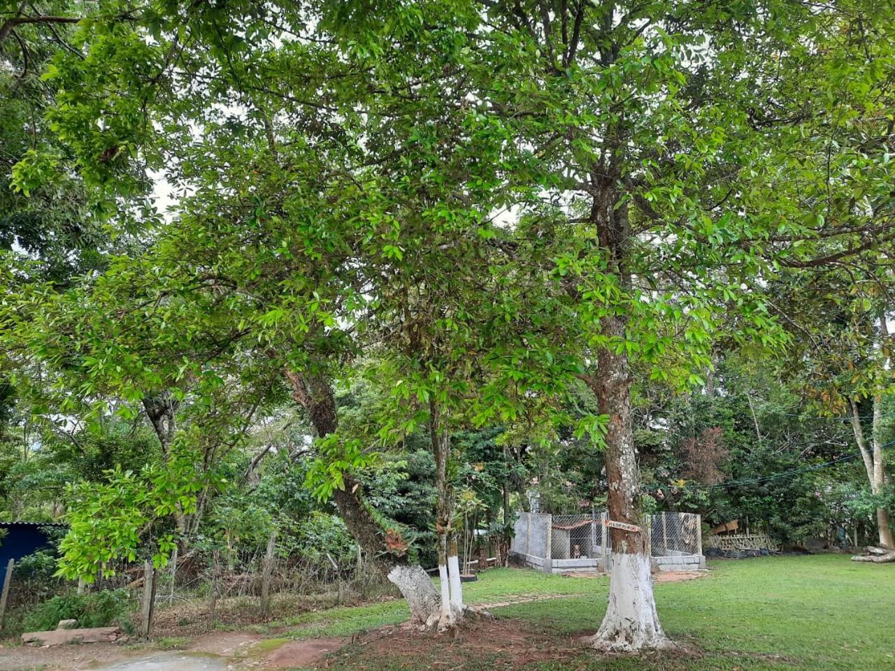 Hospedagem Chalé pousada Chácara Cantinho do Mozão