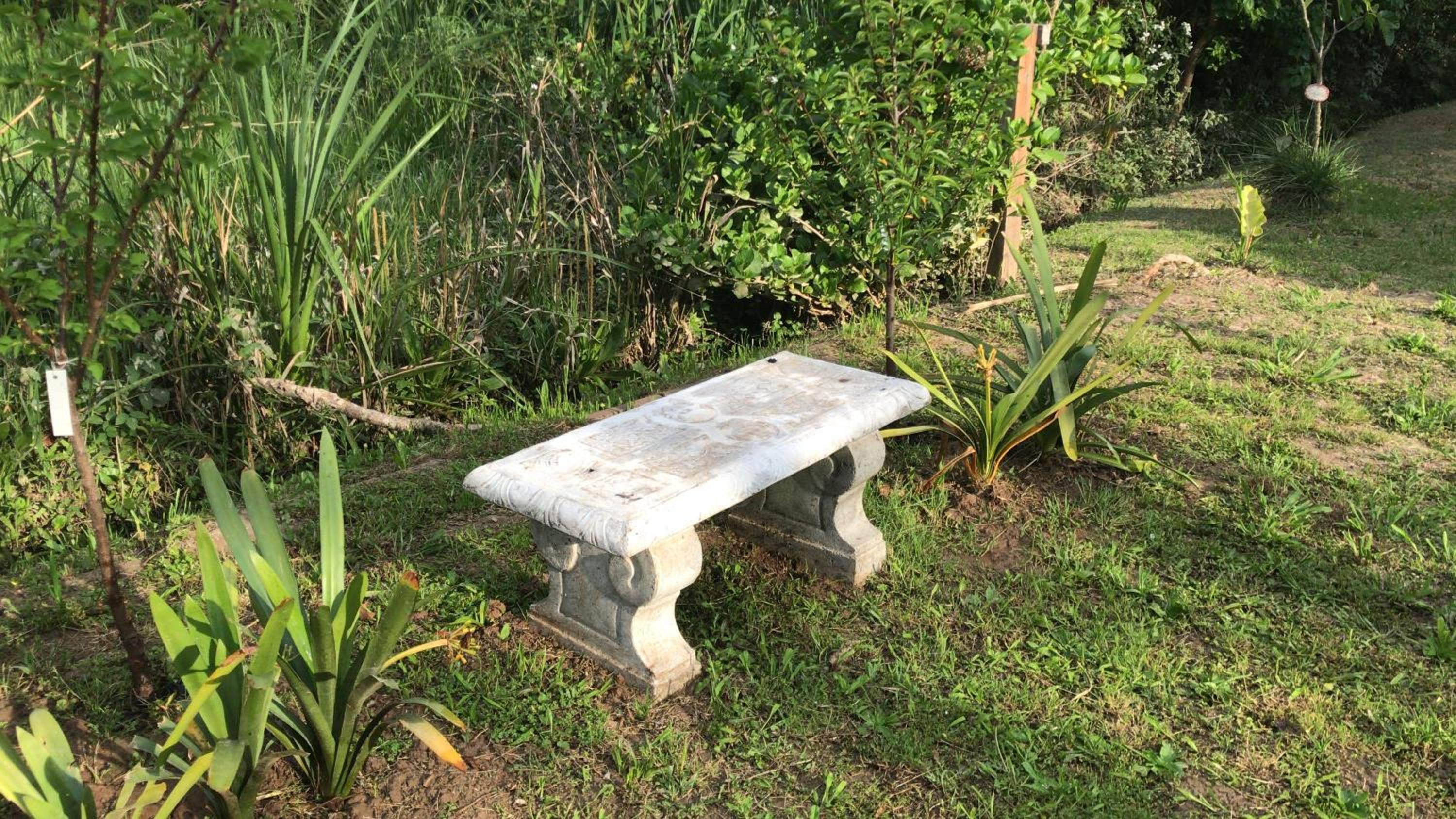 Cabaña en el Delta Arroyo Pajarito a 20 minutos de navegación