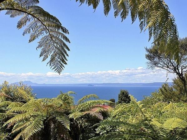 Amidst Bush and Birdsong - Pukawa Holiday Home view 4