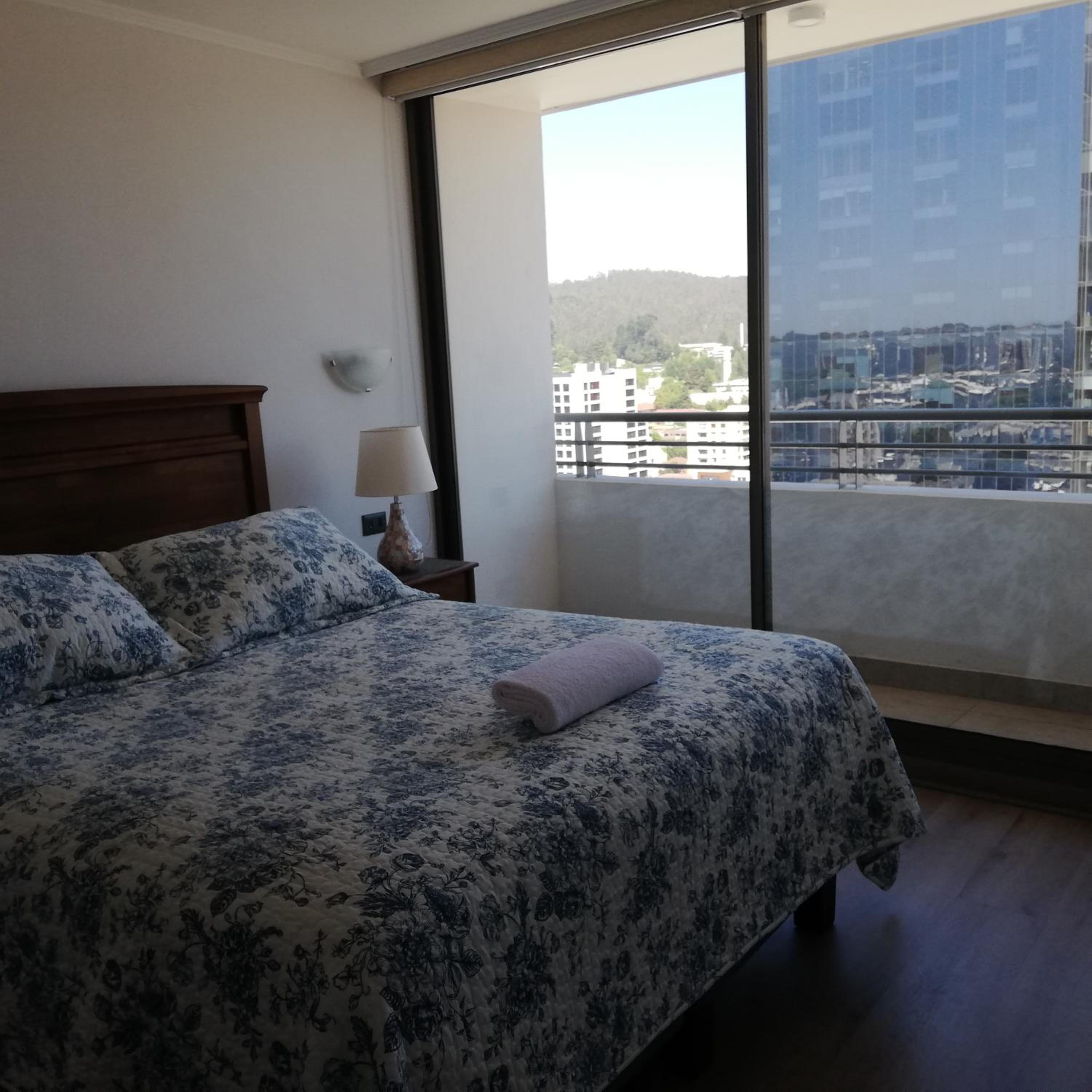 Hotel Departamento Freire 1062 - Image 1