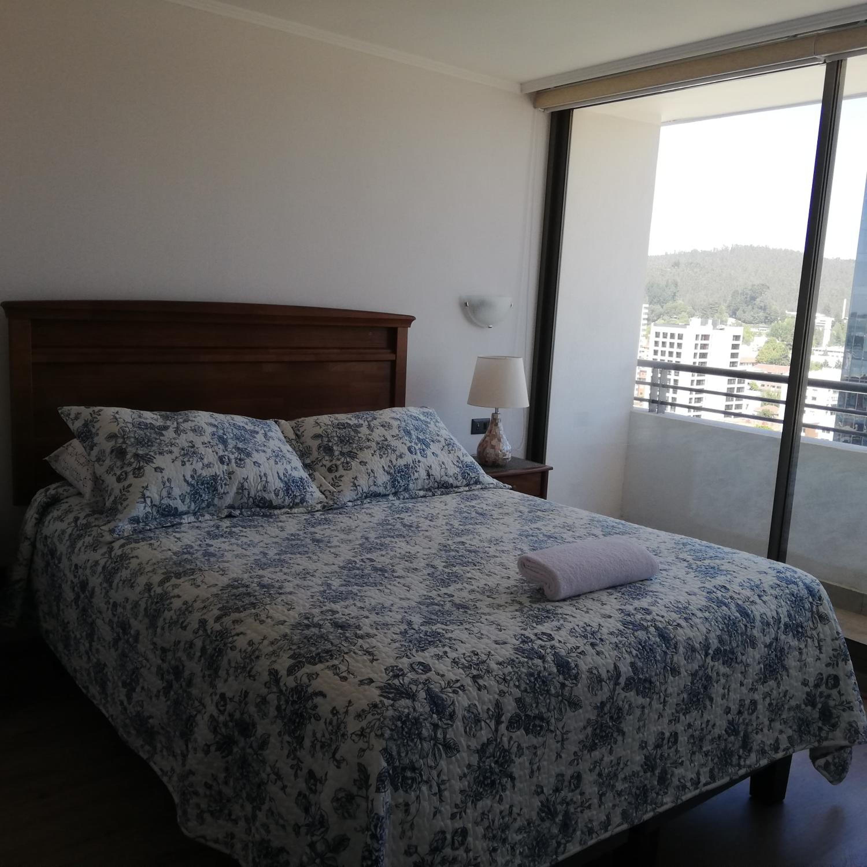 Departamento Freire 1062