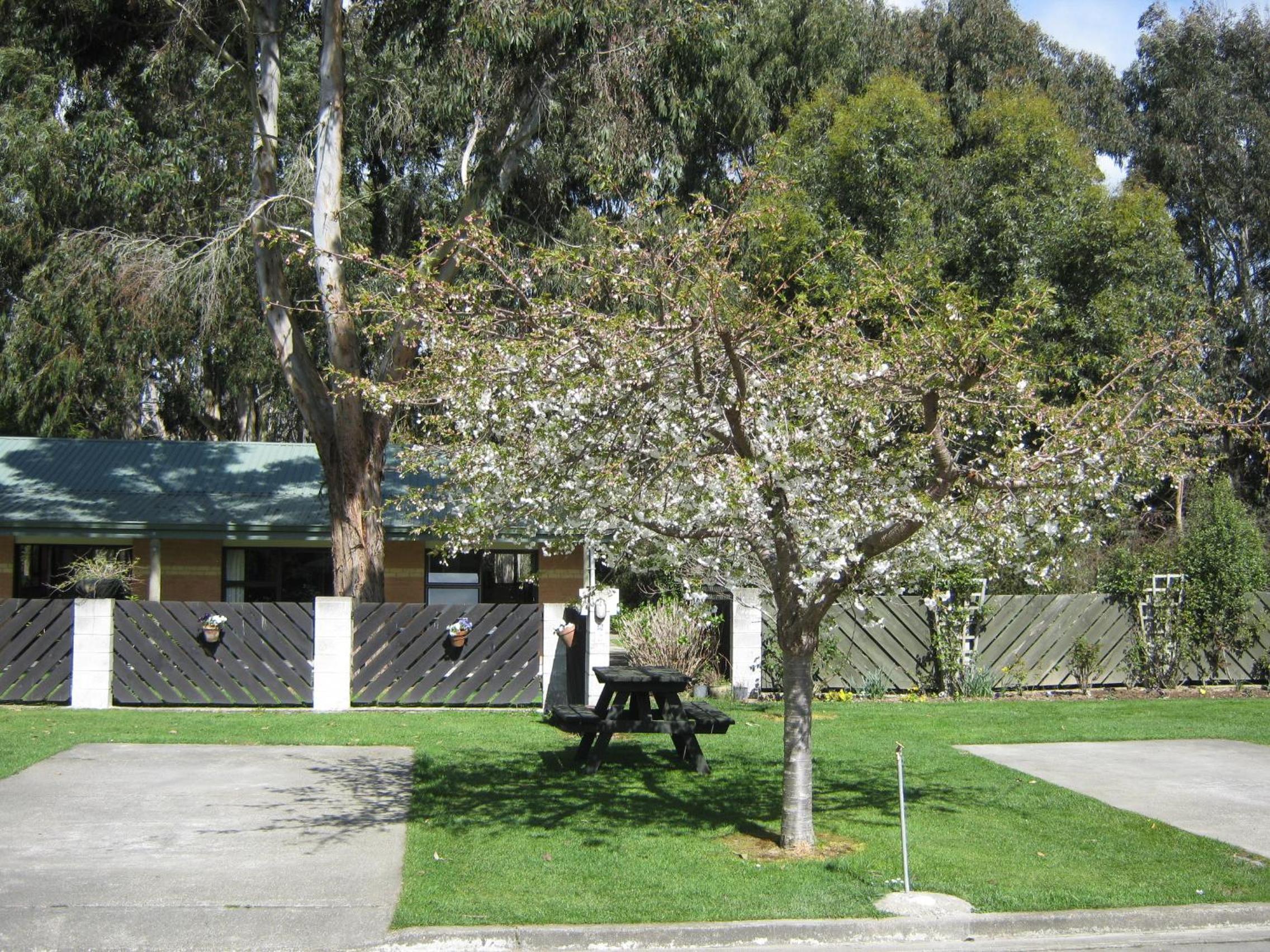 Photo 24