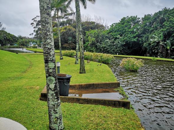 Caribbean Estates: Barbados No. 12