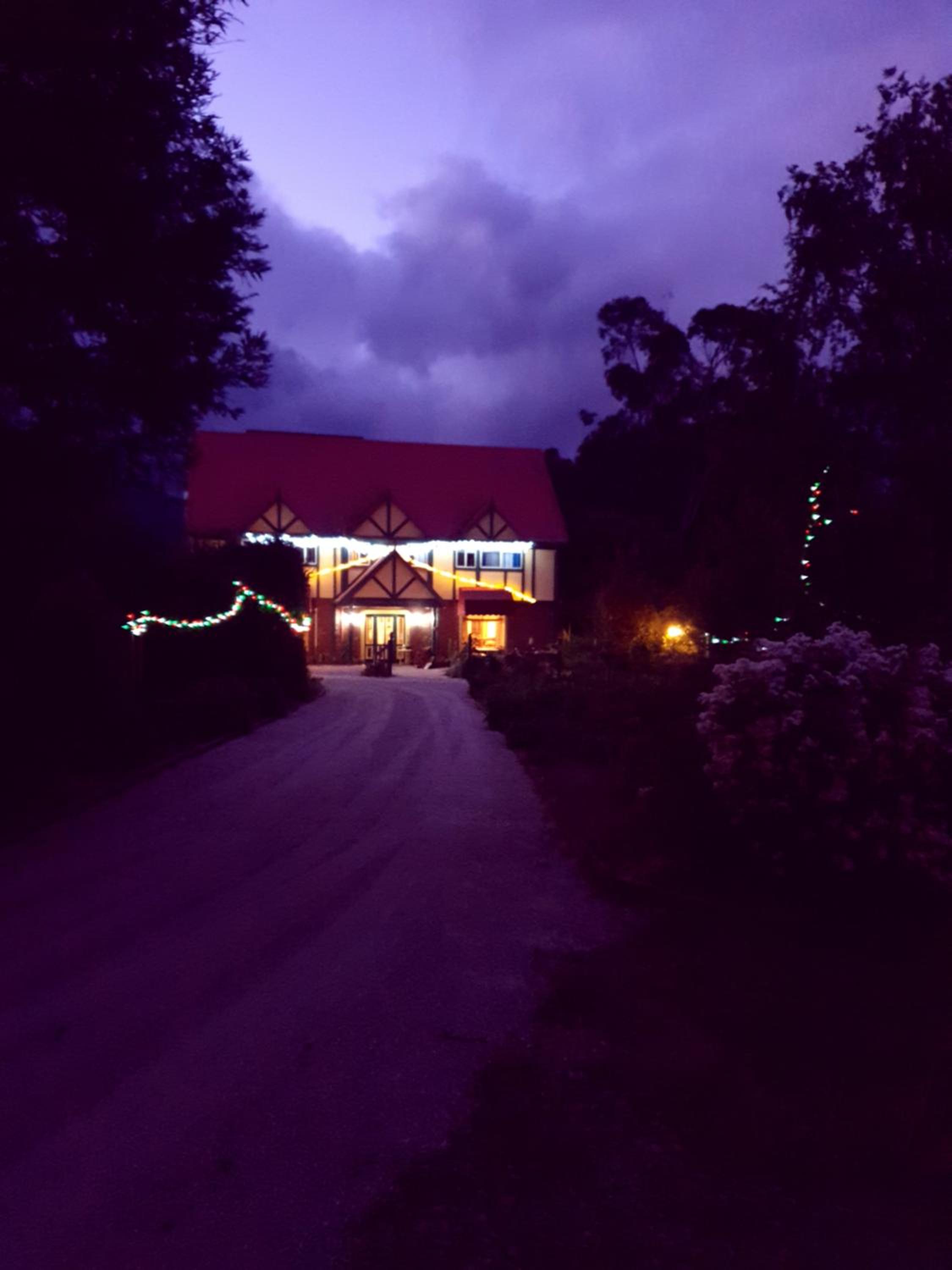 Oaktree Guest House