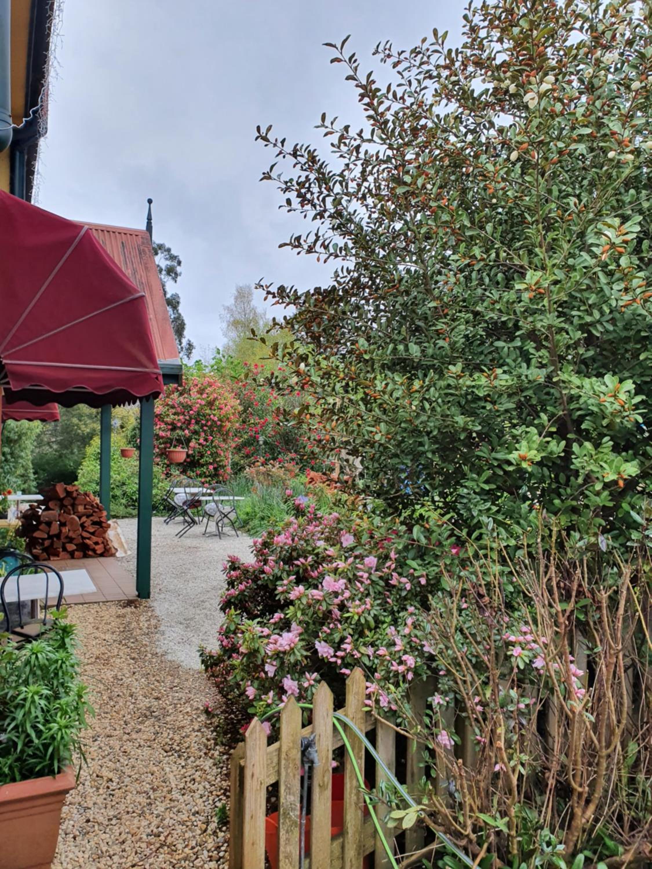 Oaktree Guest House