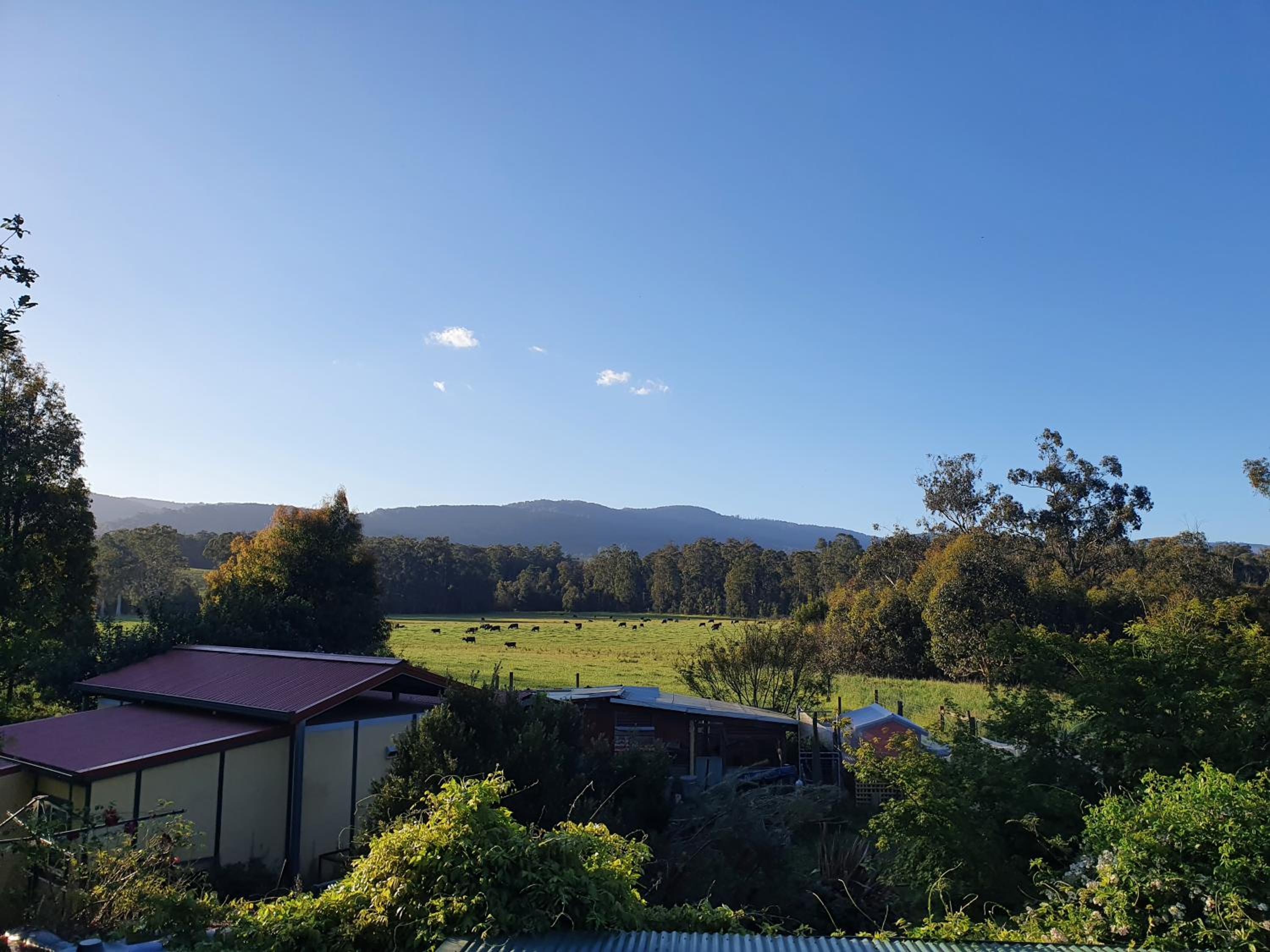 Oaktree Guest House
