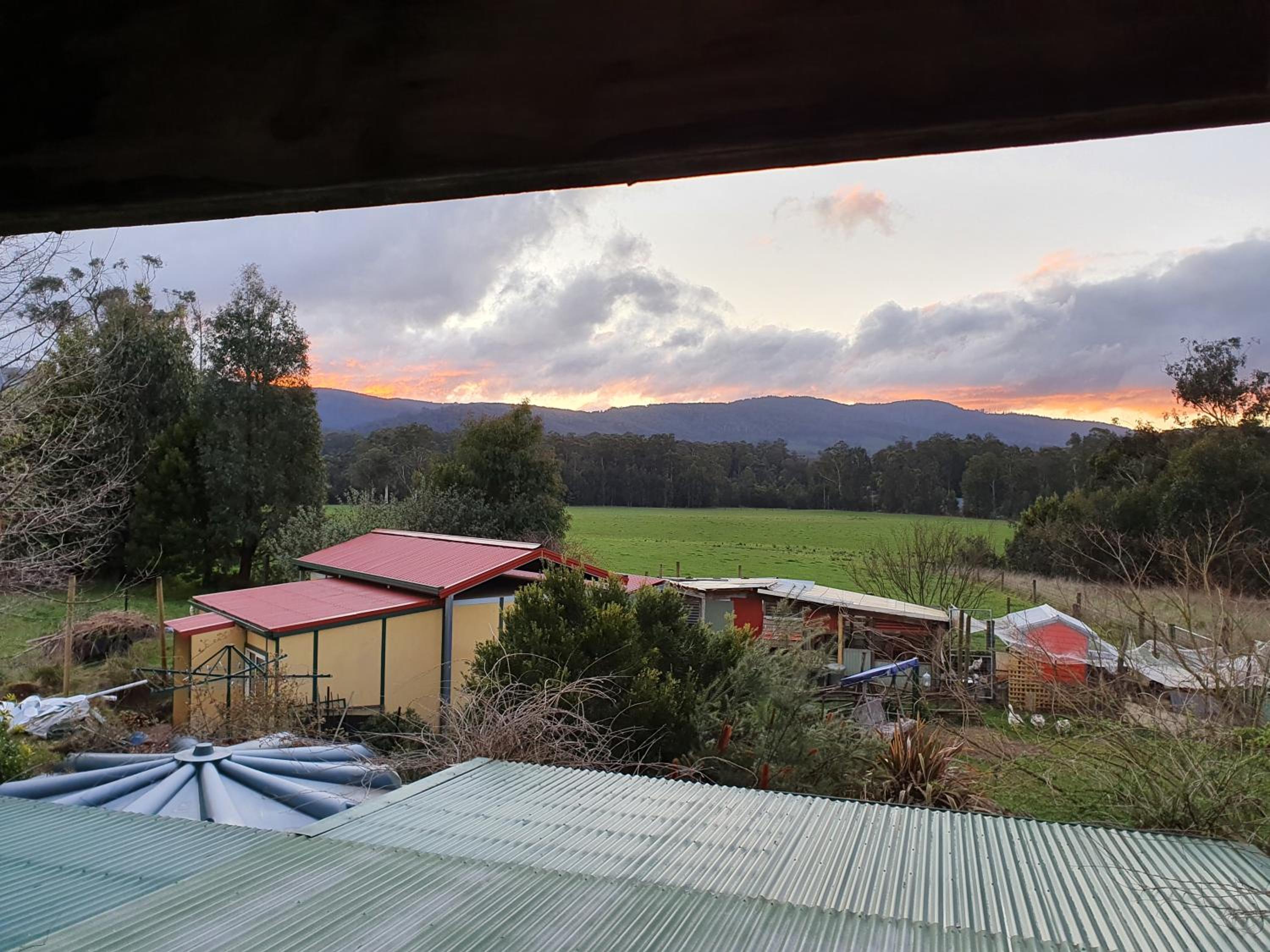 Oaktree Guest House