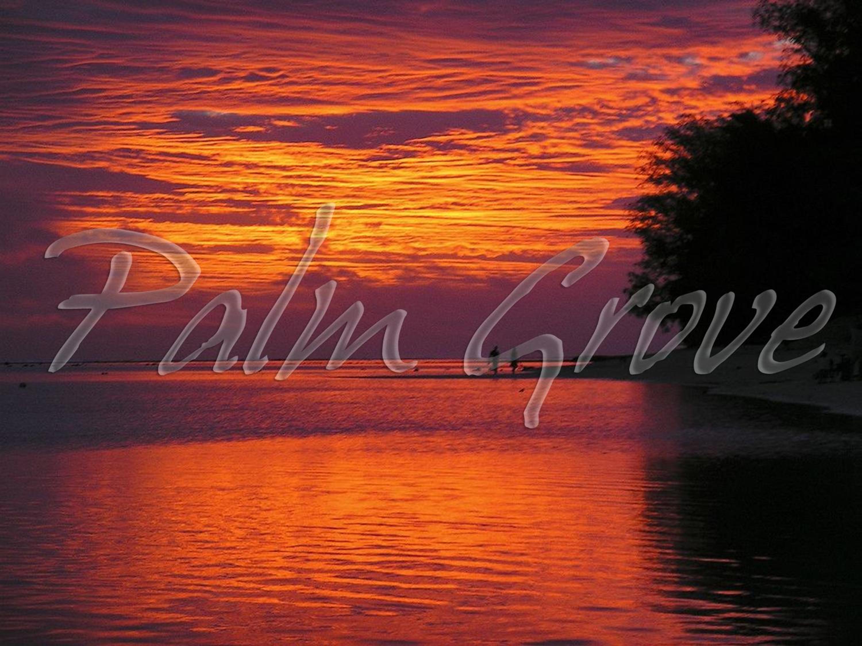 Palm Grove