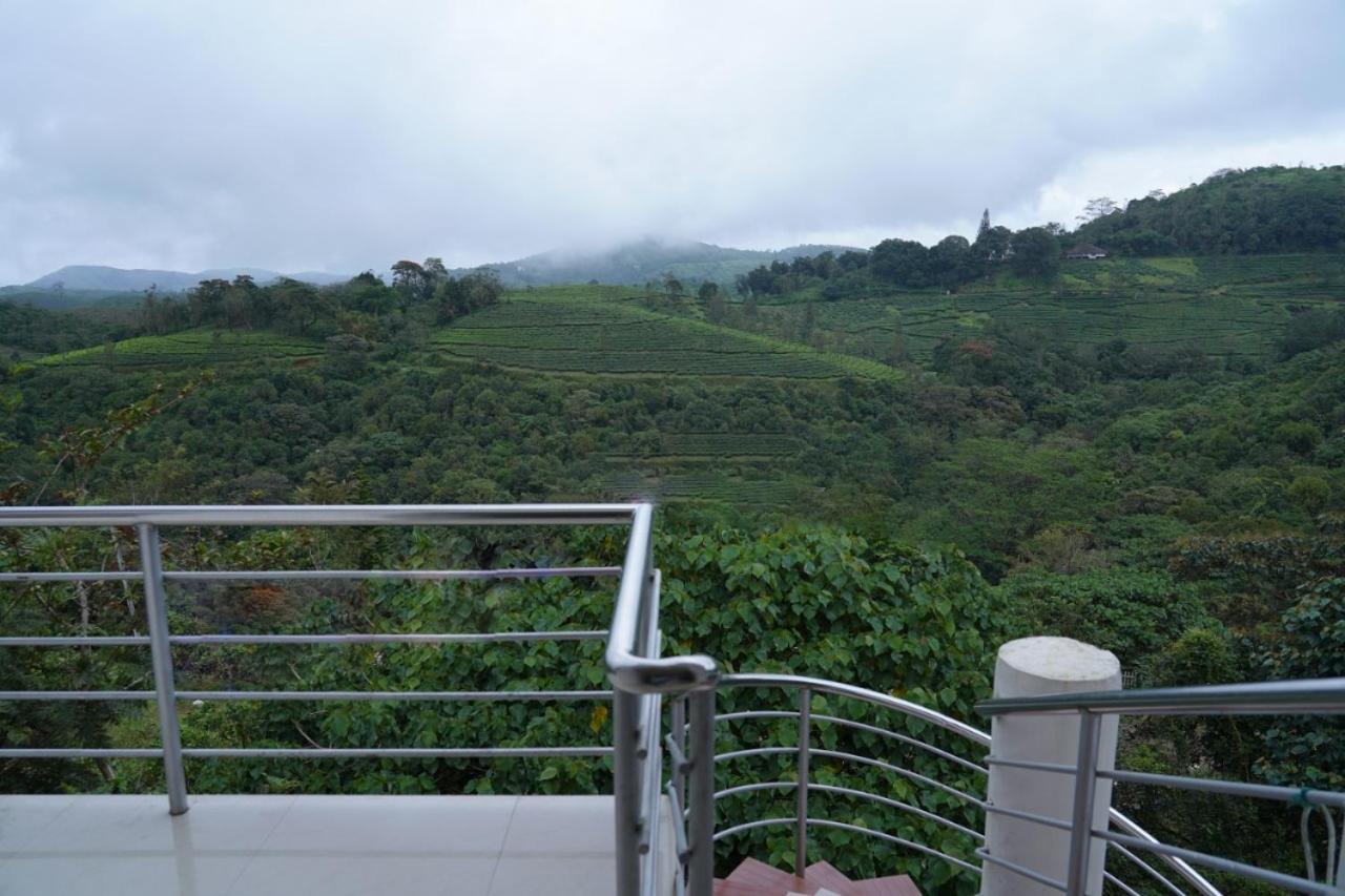 Vagamon Tea County view 4