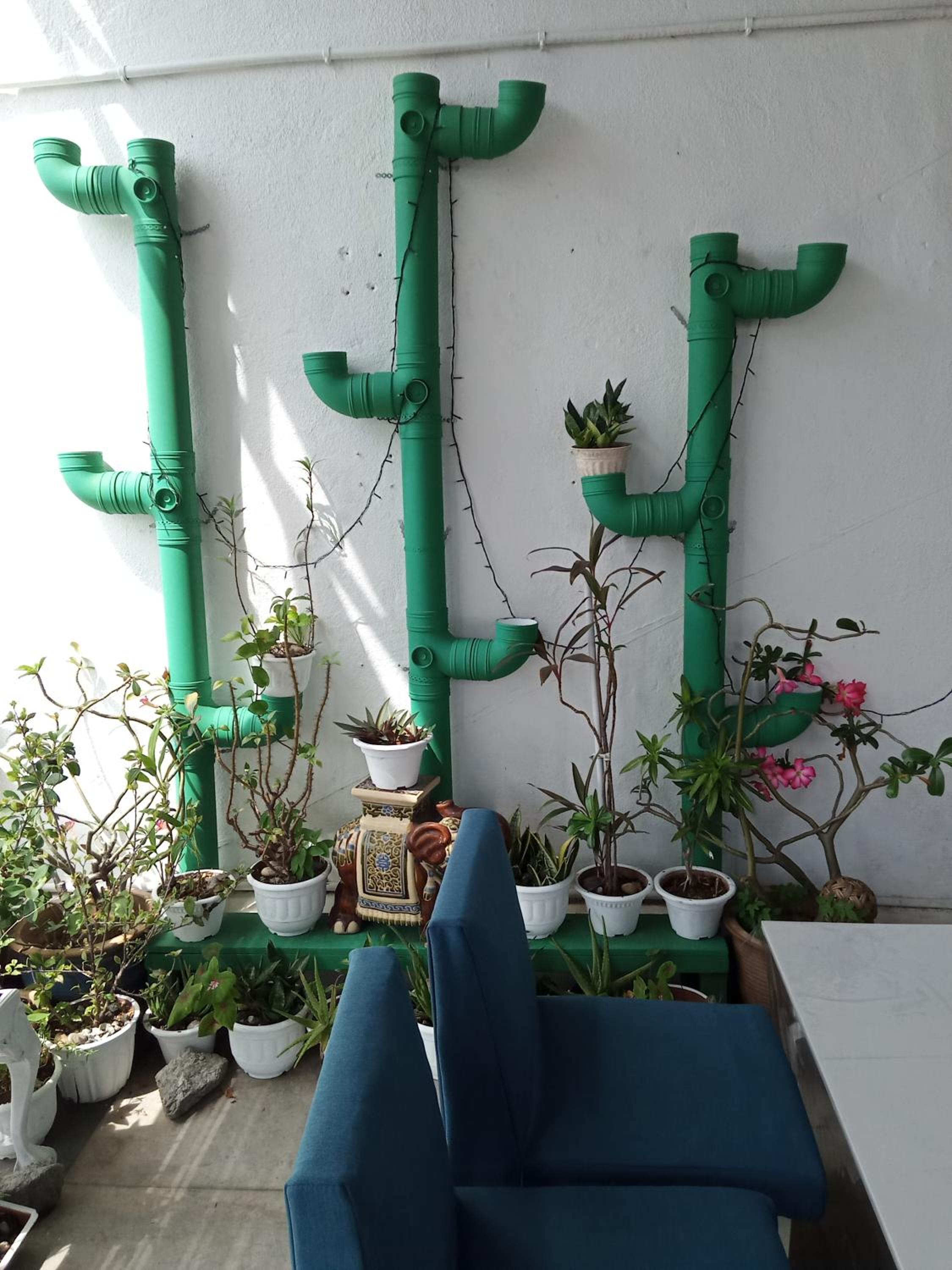 Birdnest Guesthouse, Gaia Rooftop Cafe