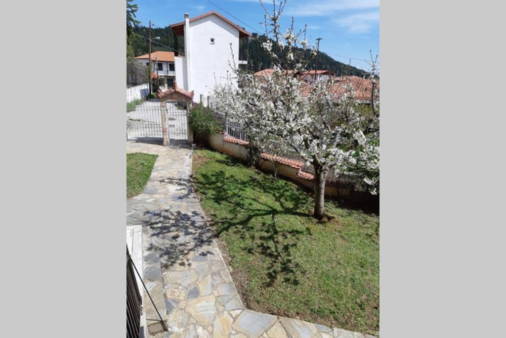 Pavliani country house view 4