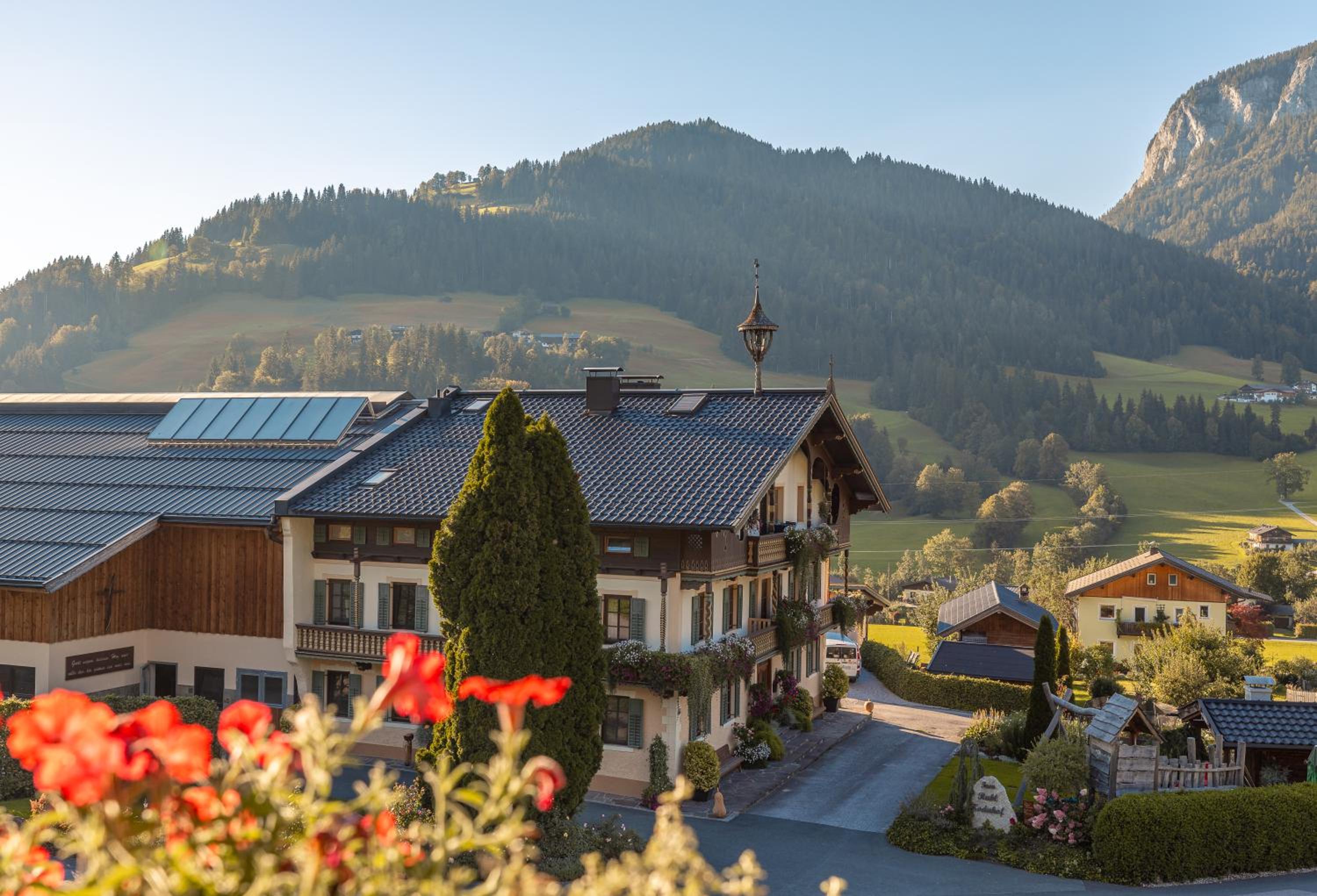 Photo 6