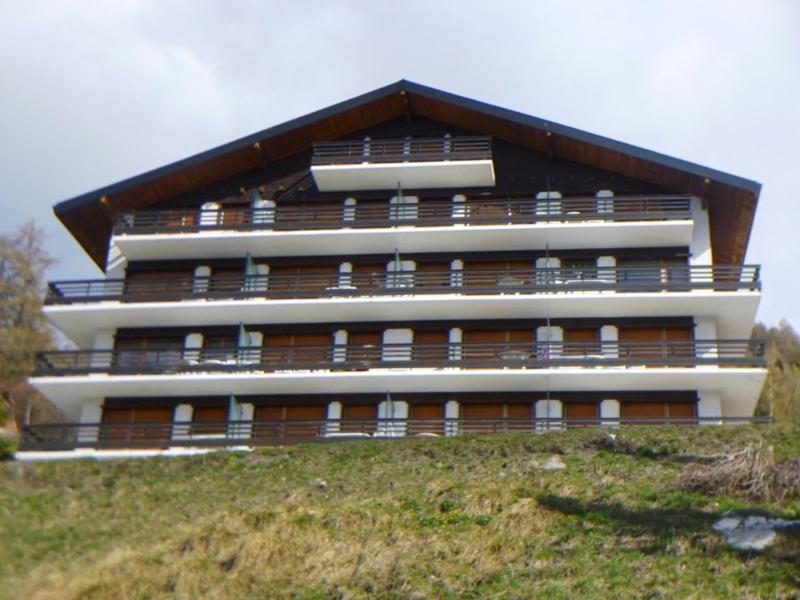 Photo 29