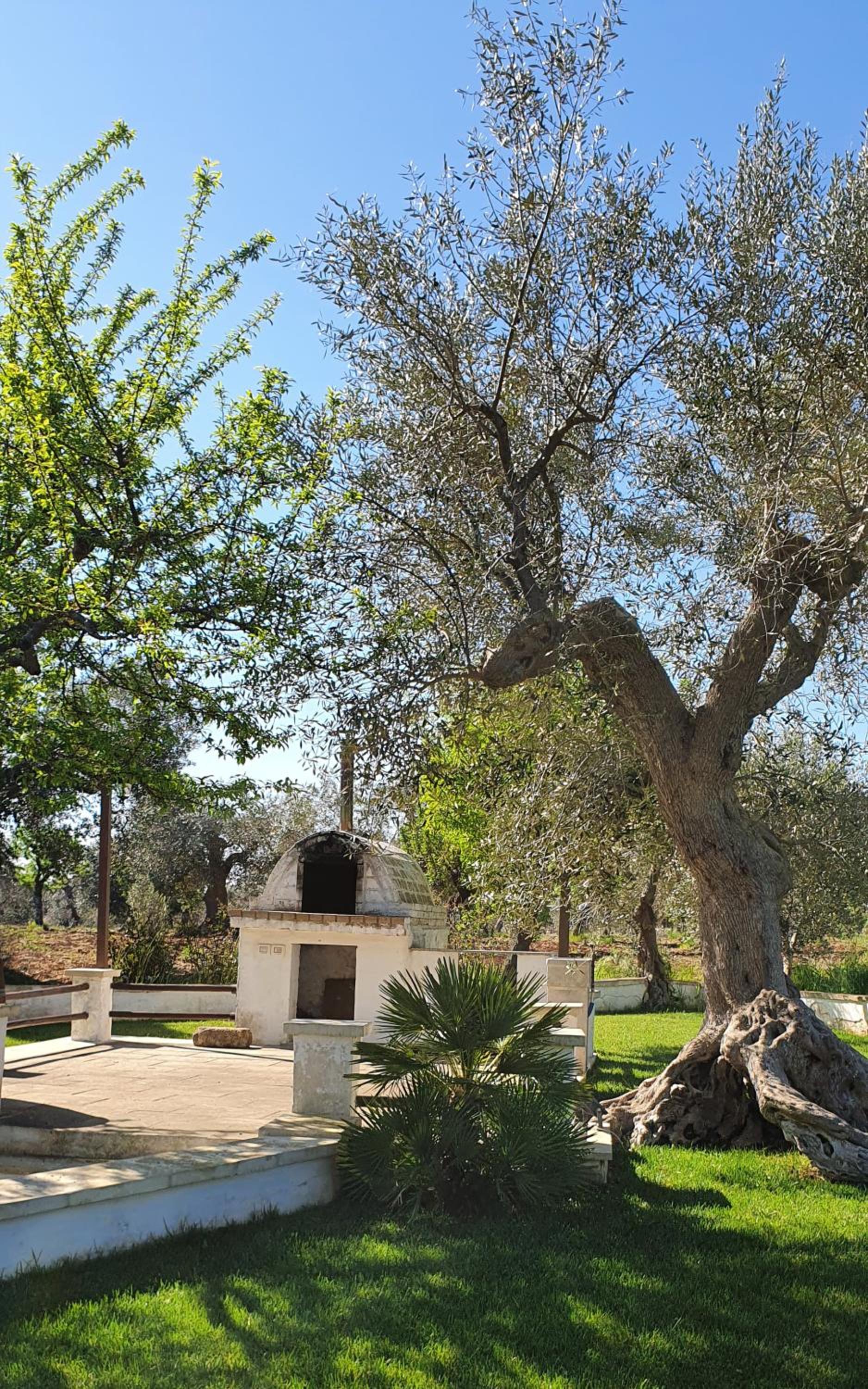 Masseria Cesarina B&B view 3
