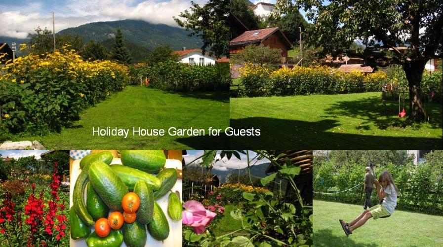 Swiss Holiday House