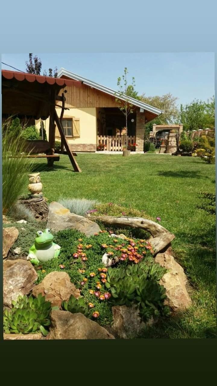 Photo 23